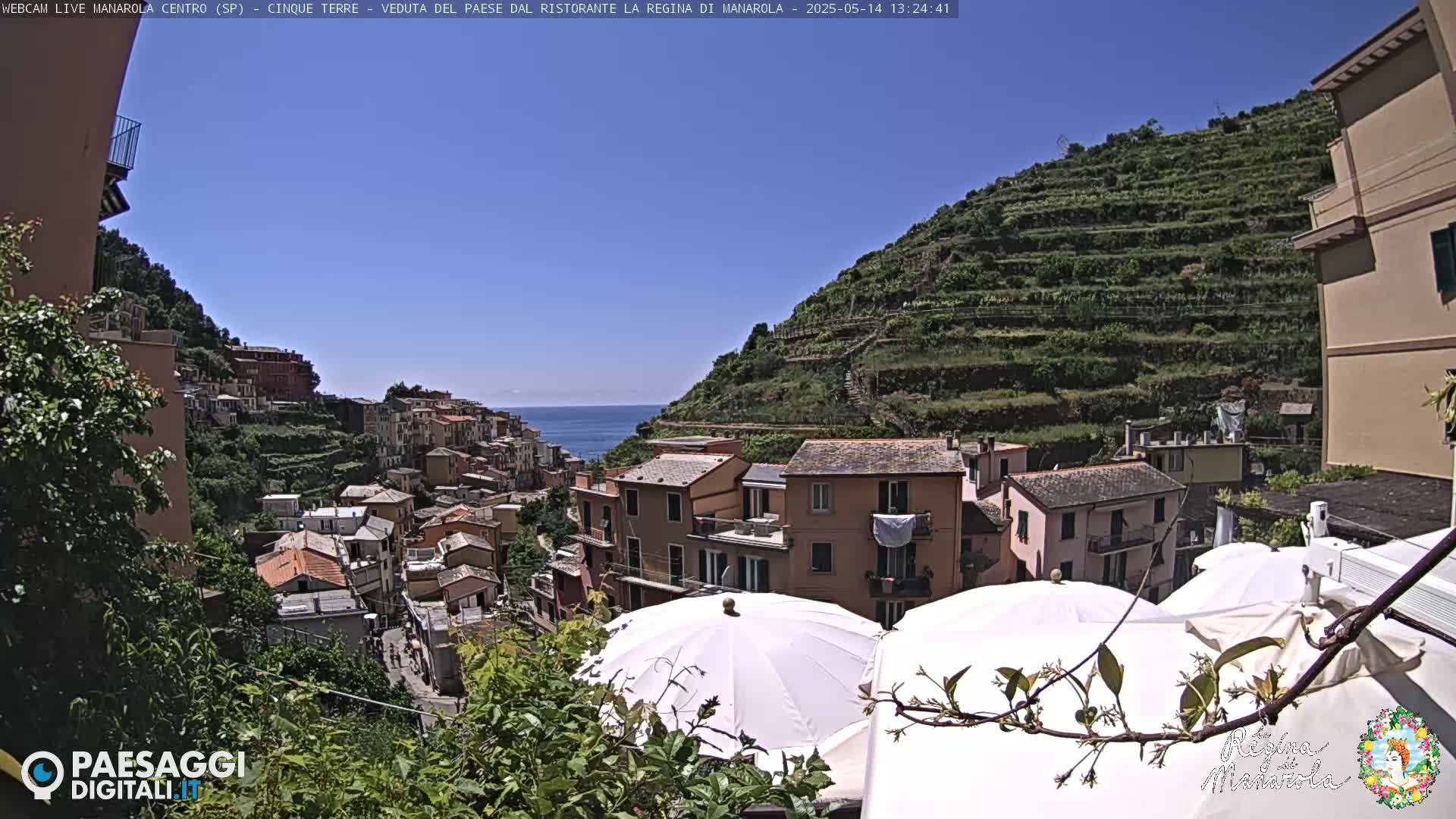 A sun-drenched coastal village, nestled on a hillside with terraced vineyards, overlooks a calm sea under a clear blue sky.