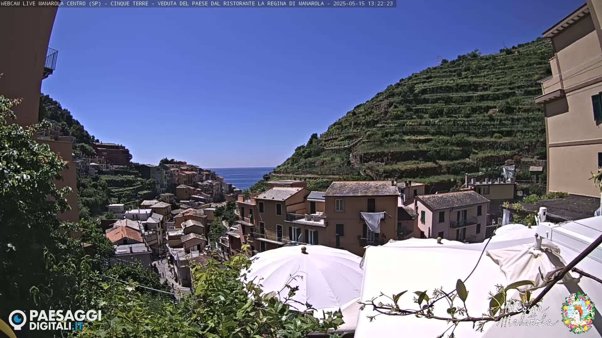 A sunny coastal village clings to a hillside terraced with greenery, overlooking a calm blue sea.