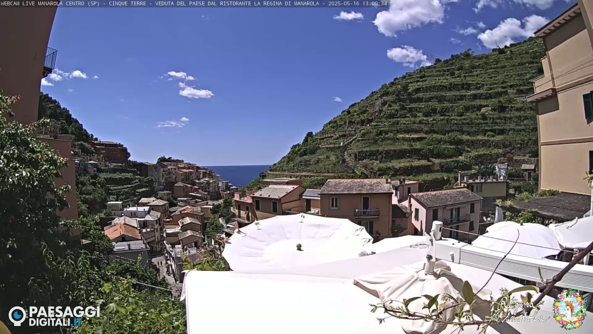 A sunny day overlooks a colorful hillside town with terraced vineyards, the ocean visible in the distance.
