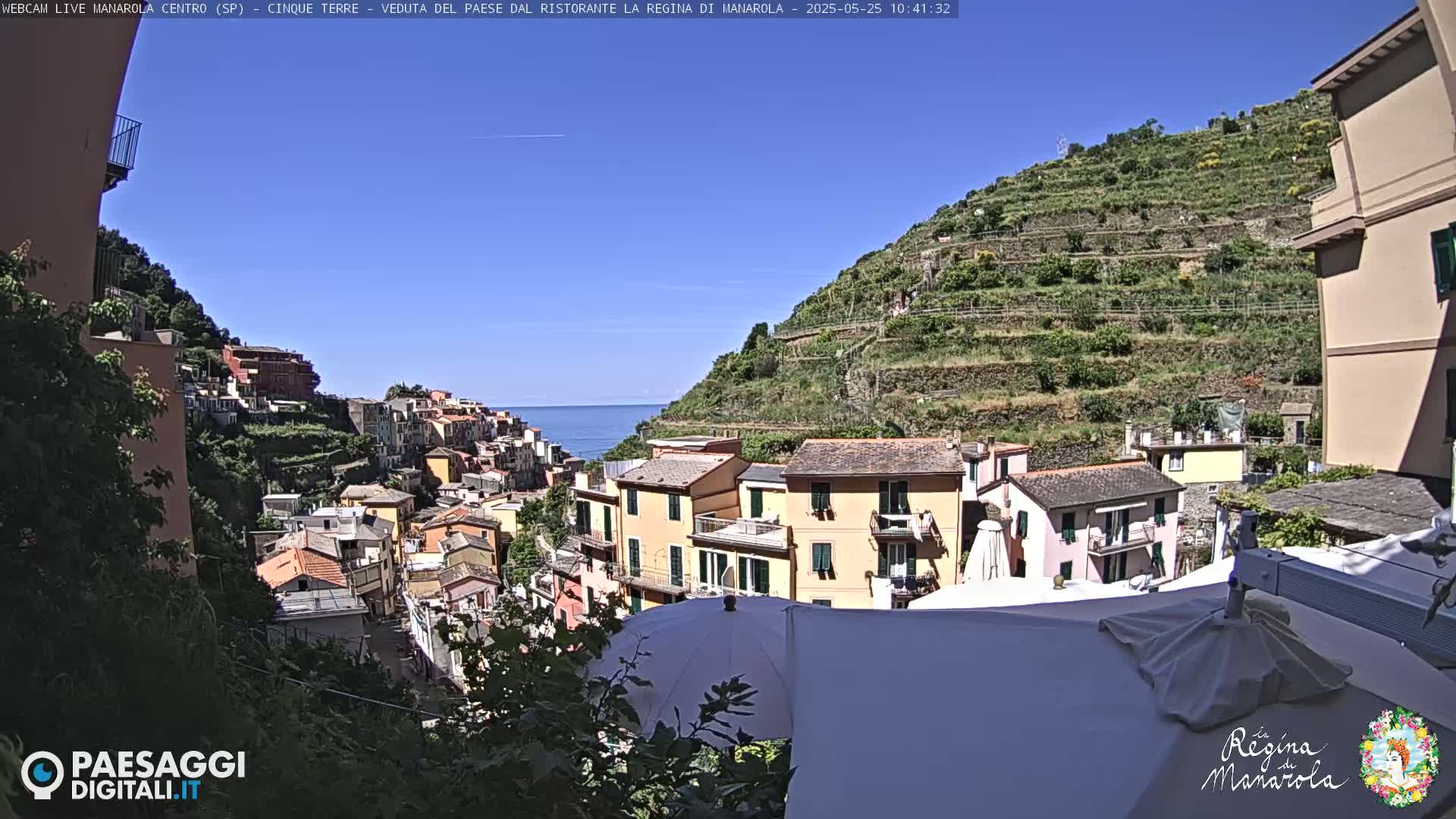 A hillside village overlooking the ocean on a sunny day, with terraced vineyards and colorful buildings.