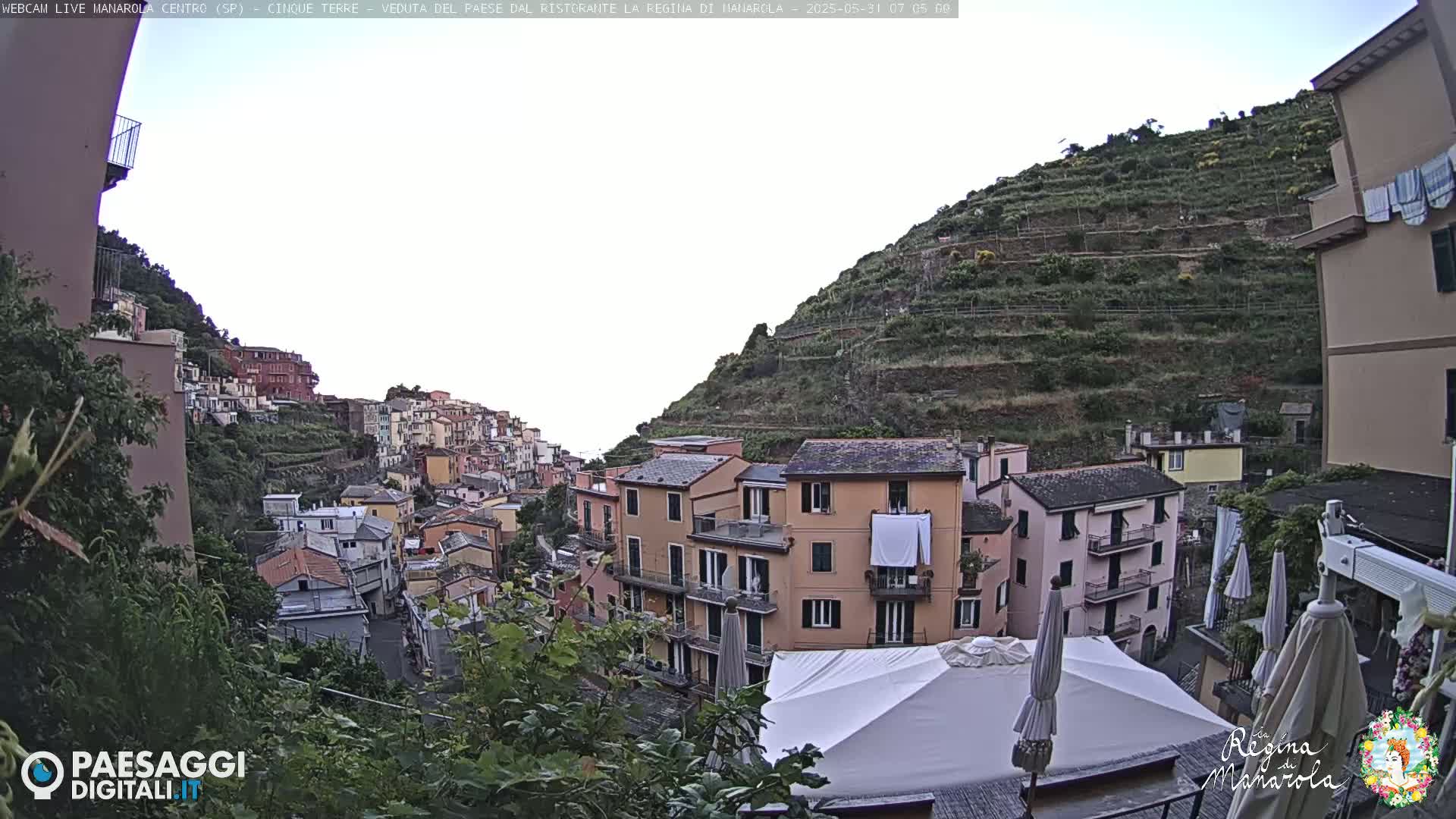 A hillside village with pastel-colored buildings overlooks a terraced hillside under an overcast sky.