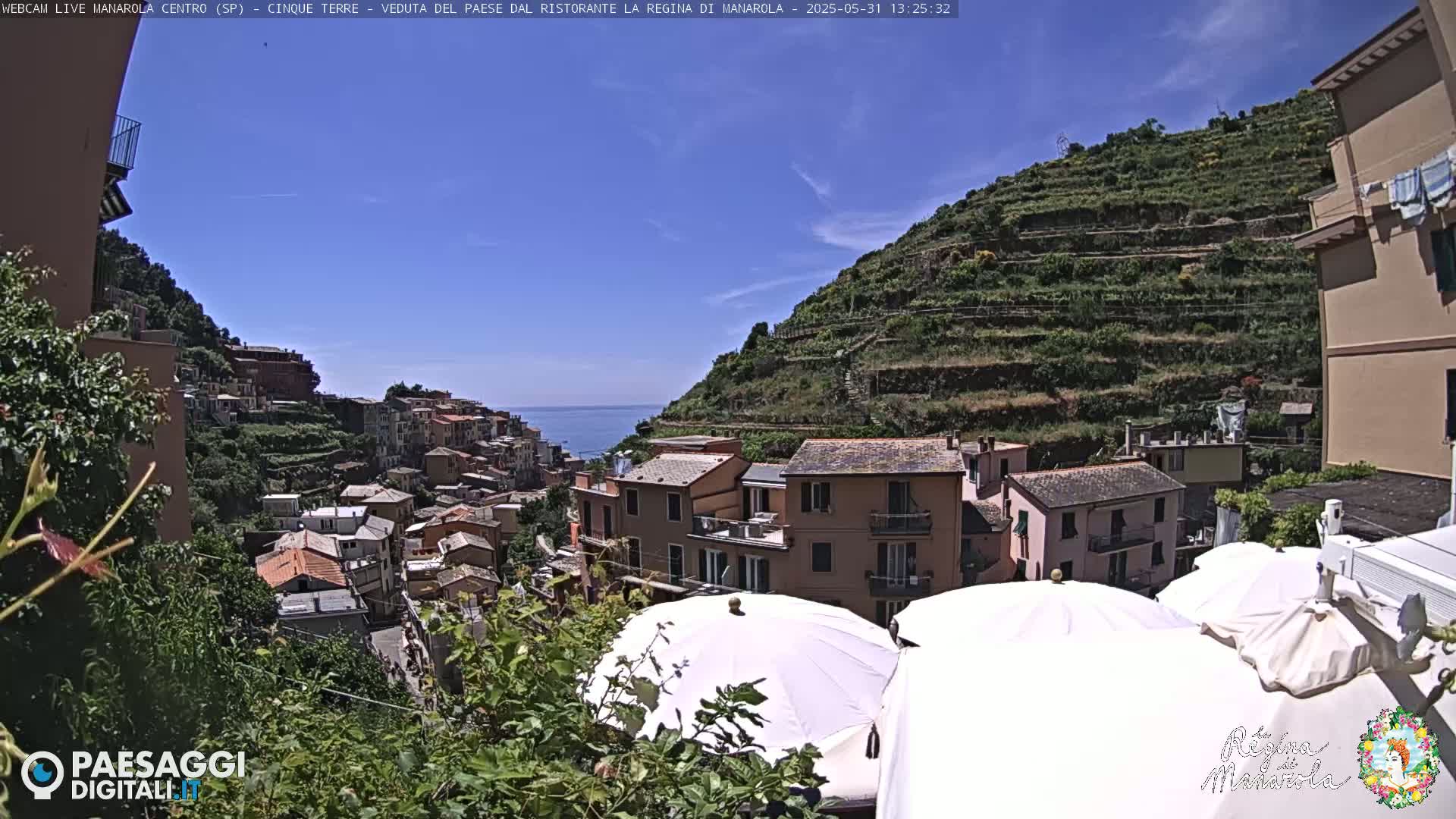 A sun-drenched coastal village, nestled on a hillside with terraced vineyards, overlooks the calm sea under a clear blue sky.