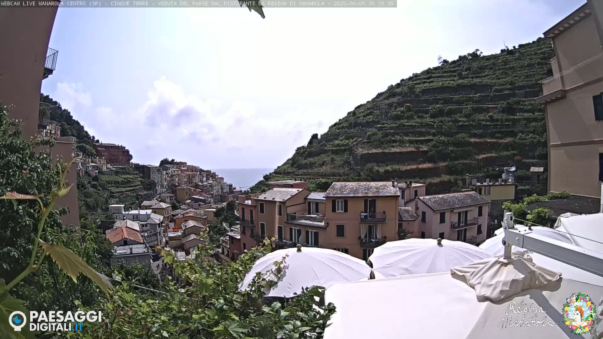 A picturesque coastal village nestled on a hillside, with terraced vineyards rising above it under partly cloudy skies.