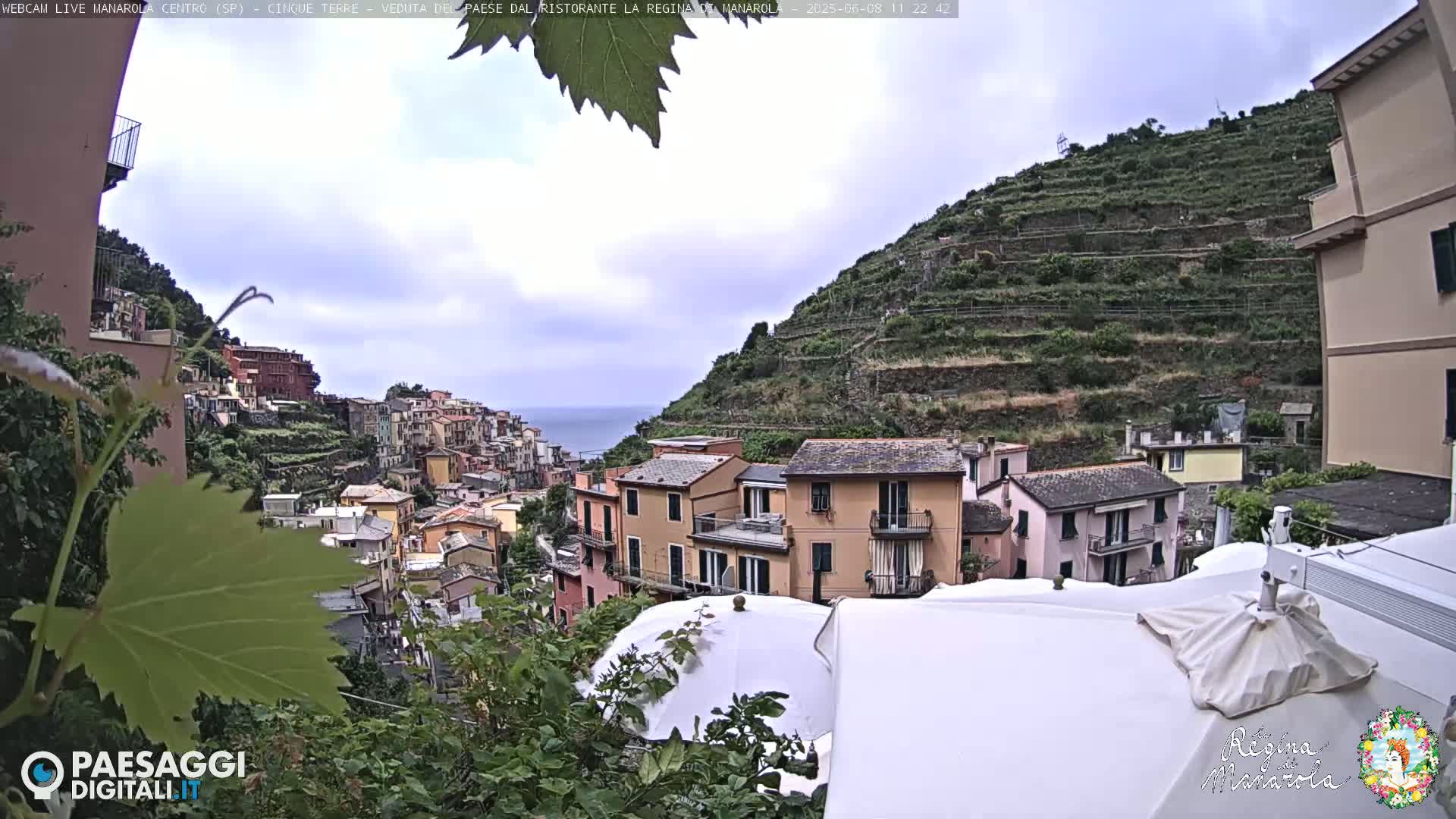 A coastal village nestled on a hillside, with terraced vineyards ascending a steep slope under a partly cloudy sky.