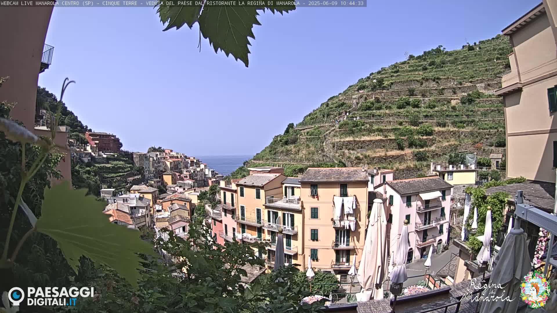 A sunny day overlooking a colorful hillside village with terraced vineyards, and a clear blue ocean in the distance.