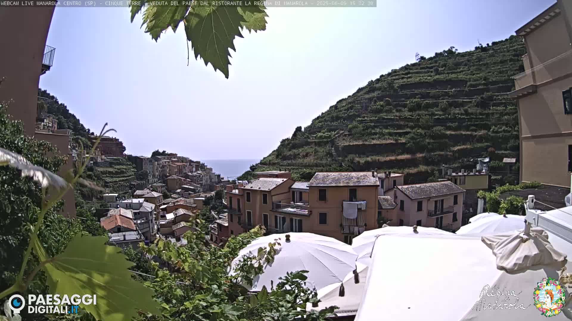 A sunny view of a hillside village with terraced vineyards, buildings, and white patio umbrellas.