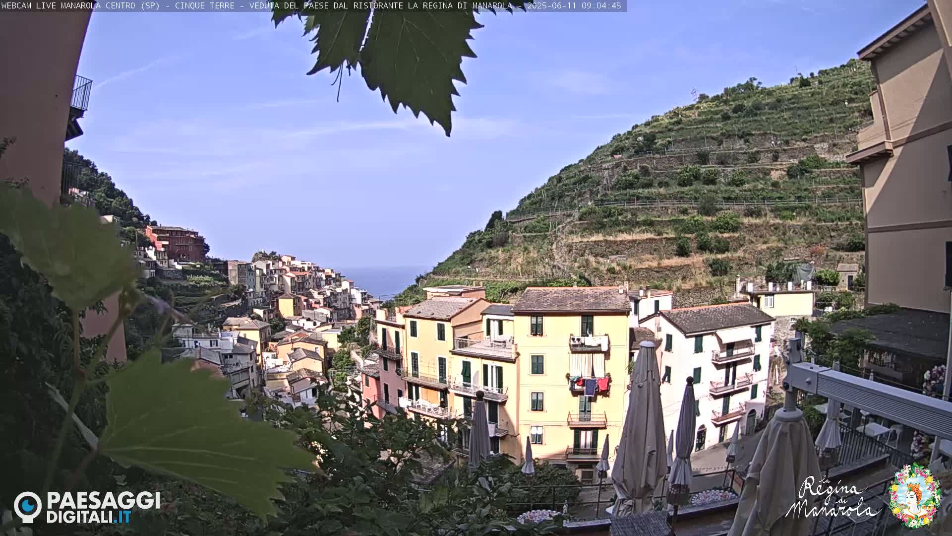 A sunny view of a colorful Italian village nestled on a hillside overlooking the sea, with terraced vineyards rising behind it.