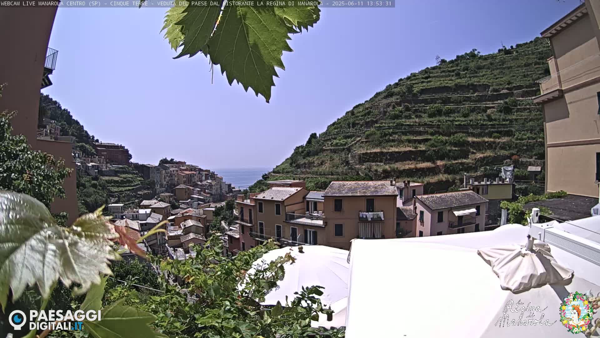 A sunny day overlooking a hillside village of colorful buildings and terraced vineyards, with a clear blue sea visible in the distance.
