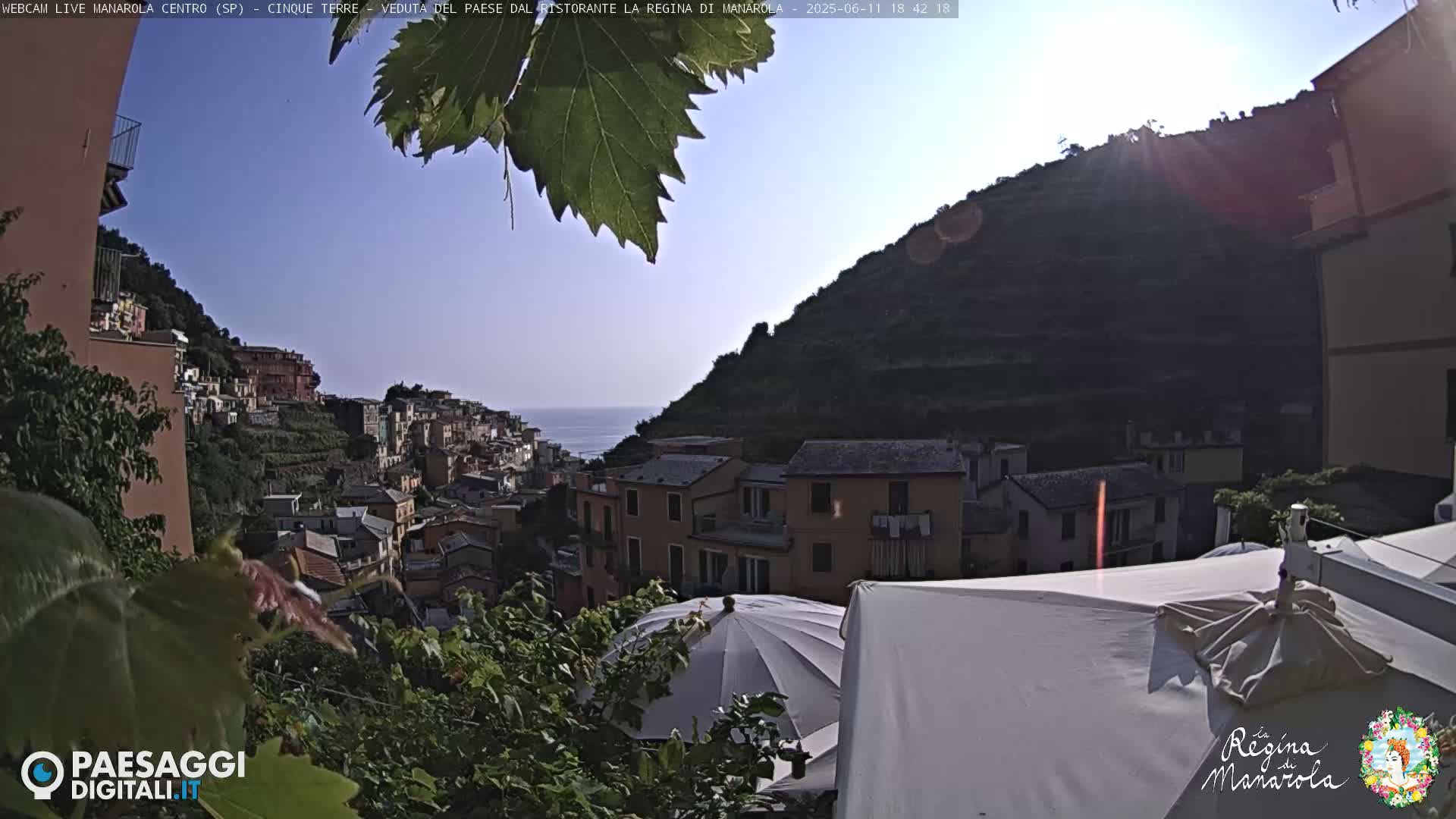 A sunny view of a hillside town overlooking the ocean, partially obscured by foliage and outdoor canopies.