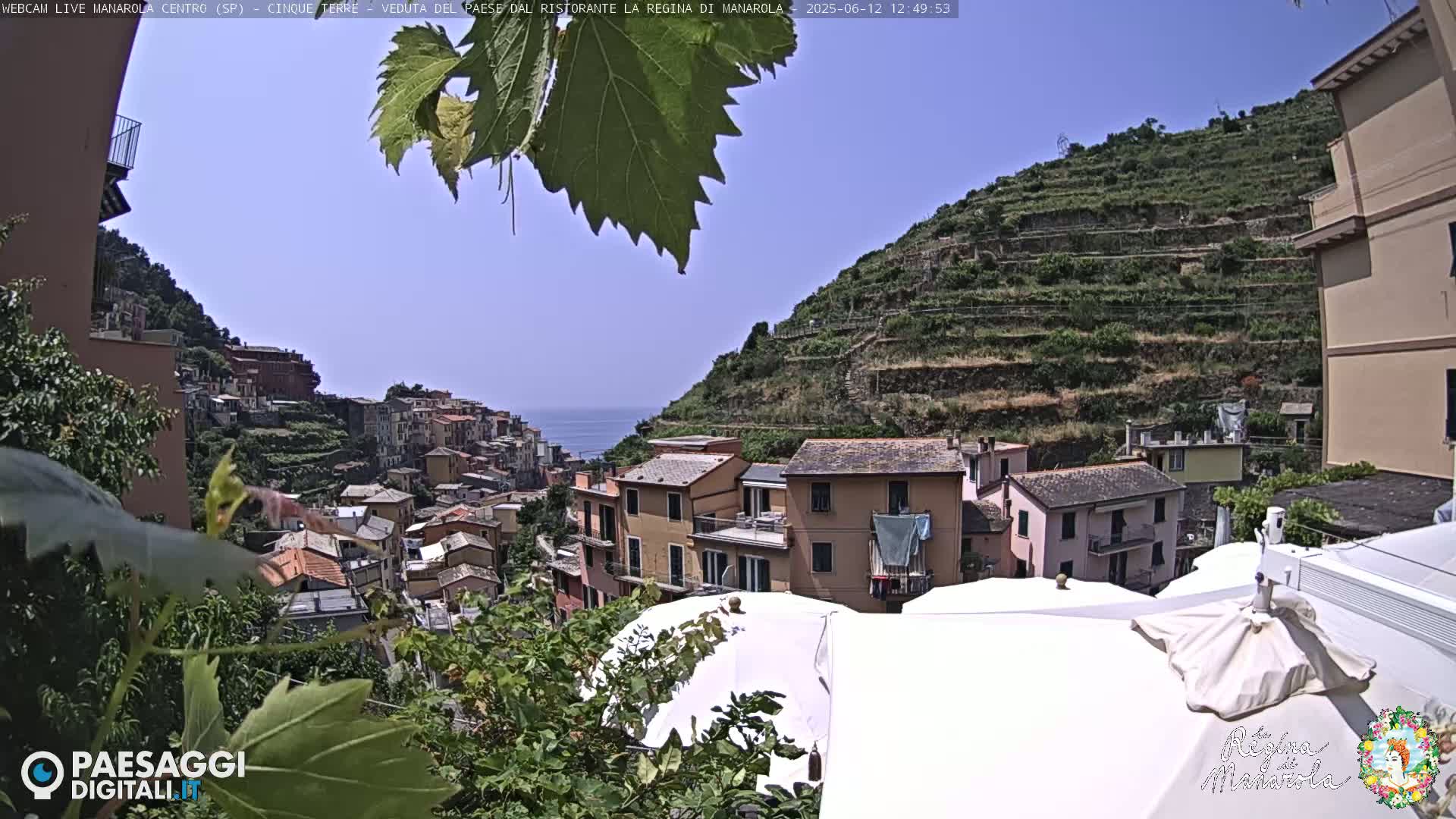 A clear, sunny day overlooks a hillside village with terraced vineyards, buildings, and the ocean visible in the distance.