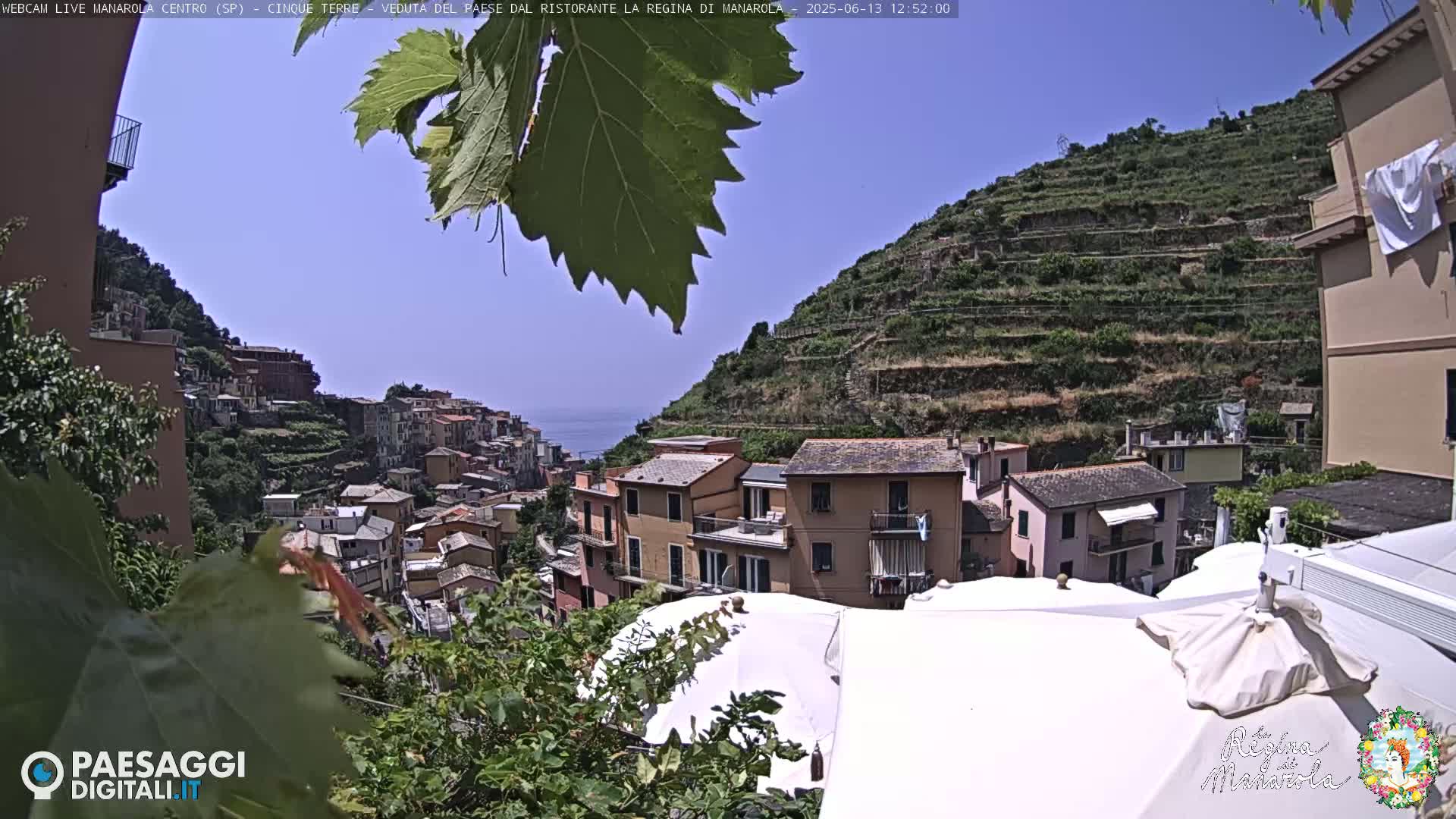 A sunny day overlooking a hillside village with terraced vineyards and the ocean in the distance, partially obscured by foliage.