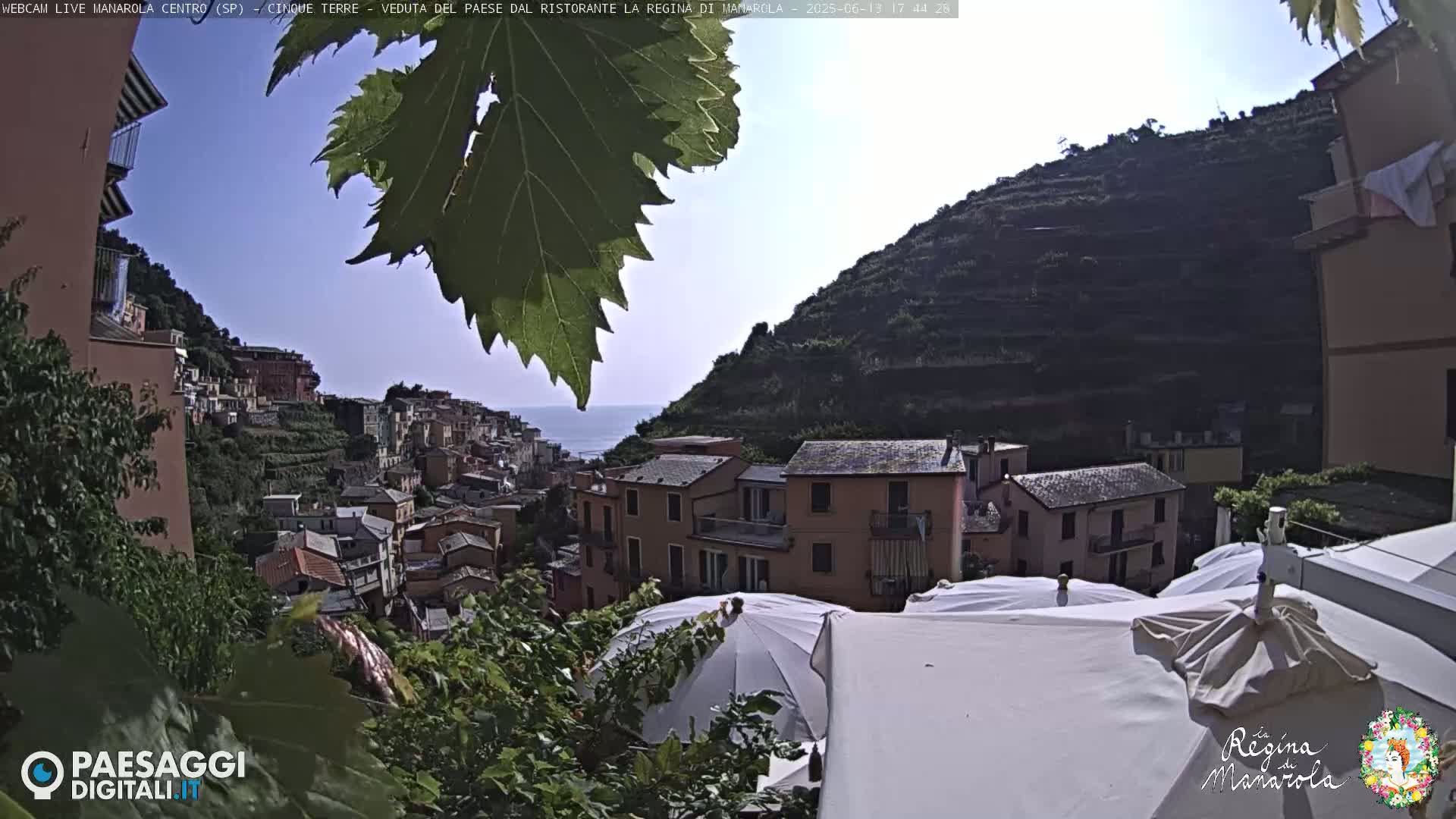 A sunlit hillside village overlooks the sea under a clear sky, partially obscured by vineyard foliage and patio umbrellas.