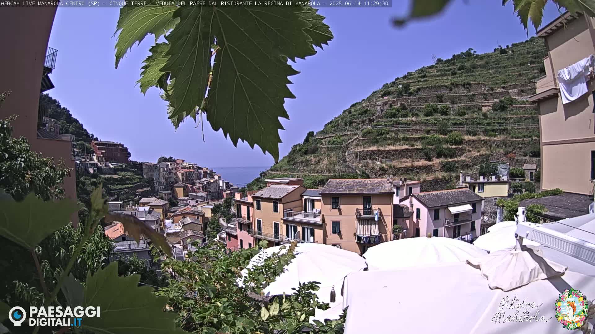 A sunlit coastal village nestled on terraced hillsides overlooks a calm sea, partially obscured by vineyard foliage in the foreground.