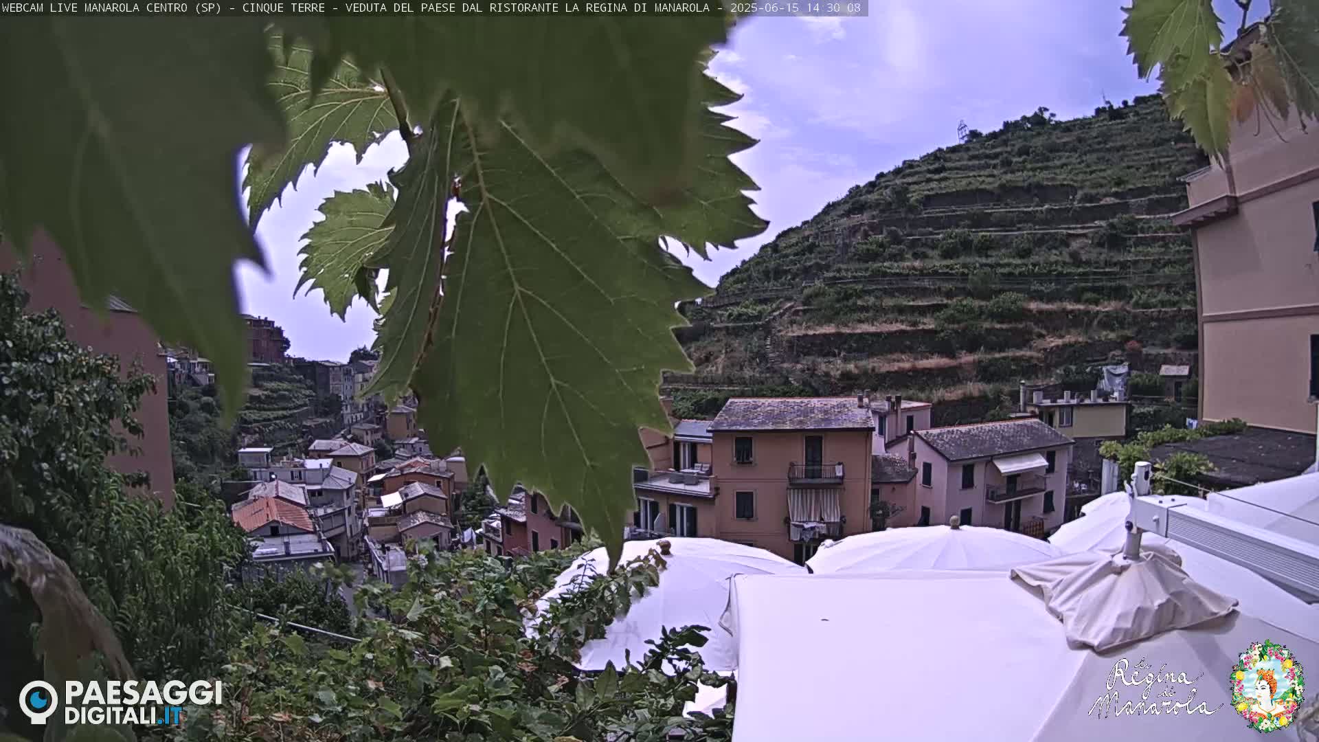 A hillside village, partially obscured by grape leaves, is visible under a partly cloudy sky, with white patio umbrellas in the foreground.