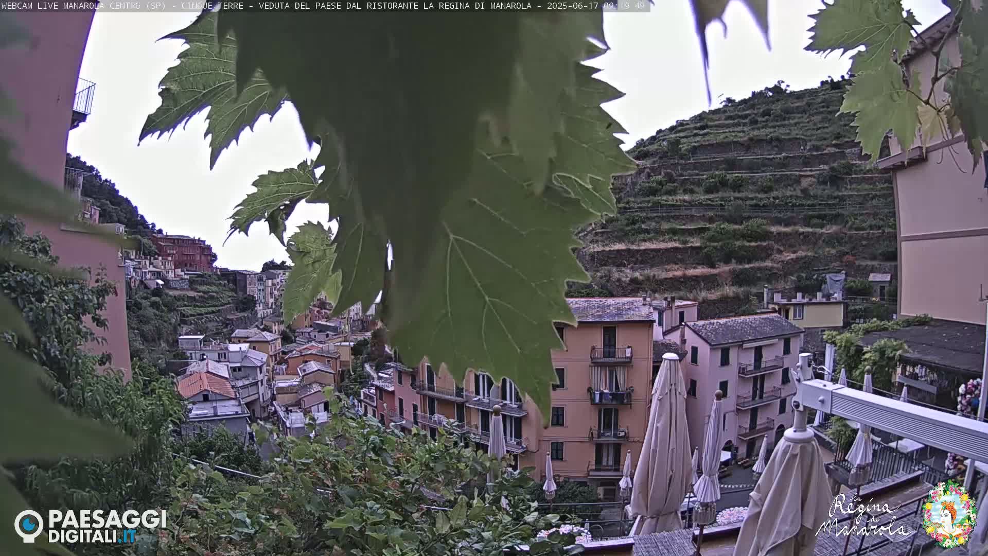 A hillside village with terraced vineyards is partially obscured by large green leaves under an overcast sky.