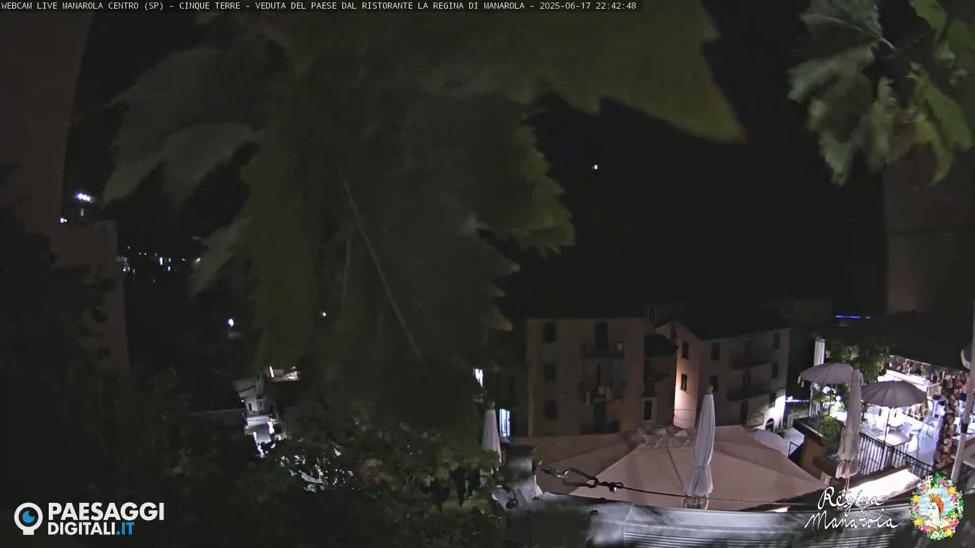 A nighttime, outdoor view from above shows a partially obscured village with buildings and outdoor umbrellas, seen through dark, leafy branches under a clear, dark sky.