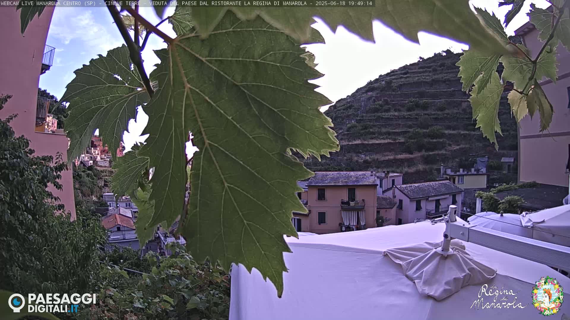 A large grape leaf partially obscures the view of a hillside village under a partly cloudy sky.