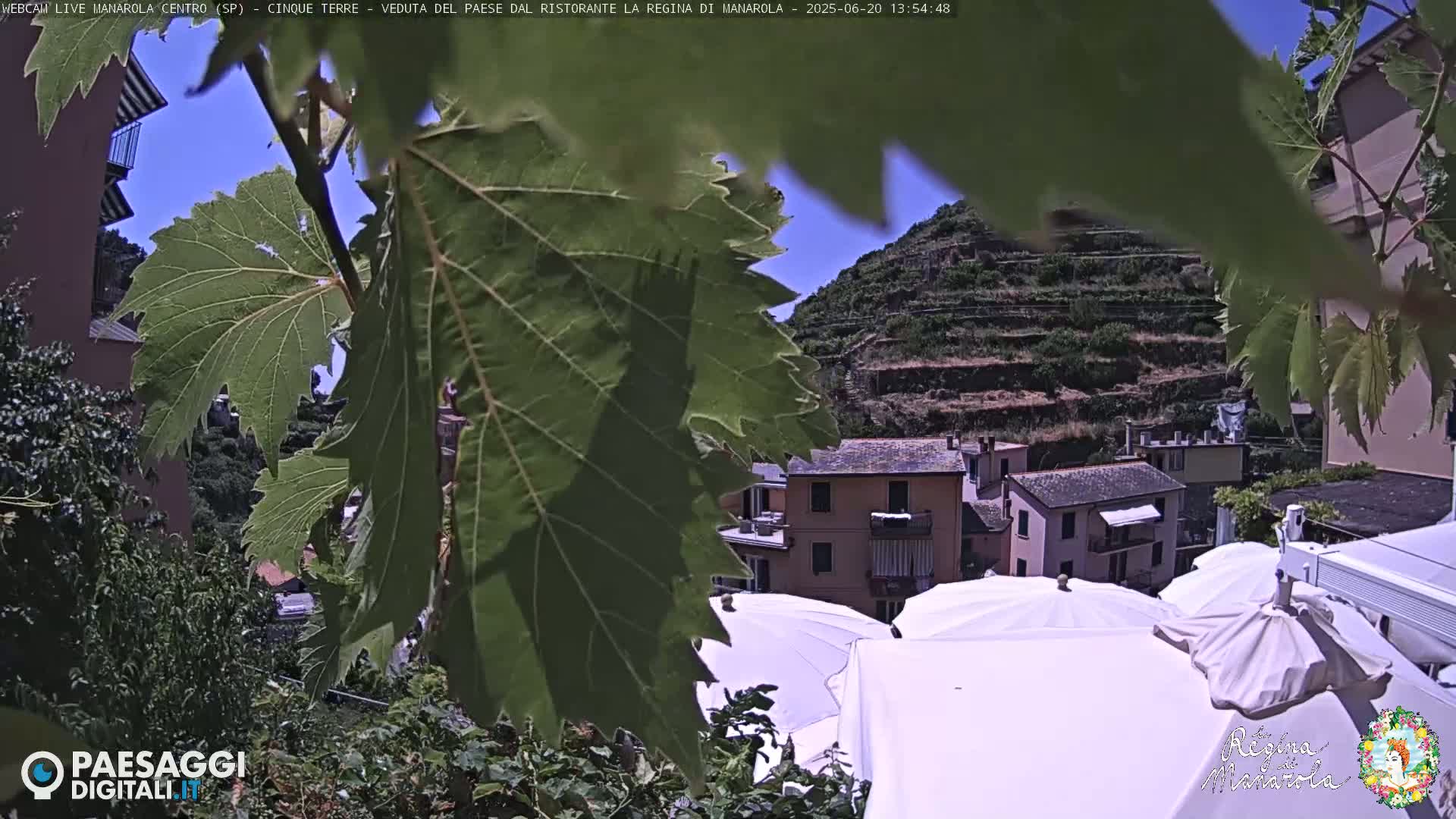 A hillside village with terraced vineyards is partially obscured by large green leaves under a sunny sky.