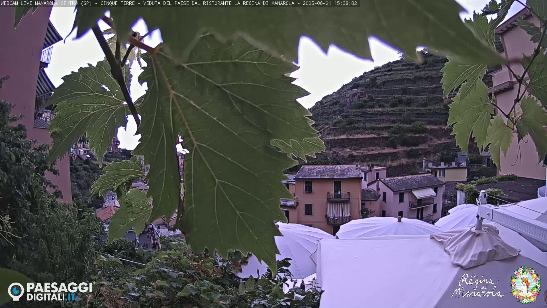 Overcast view of a terraced hillside village partially obscured by large grape leaves.