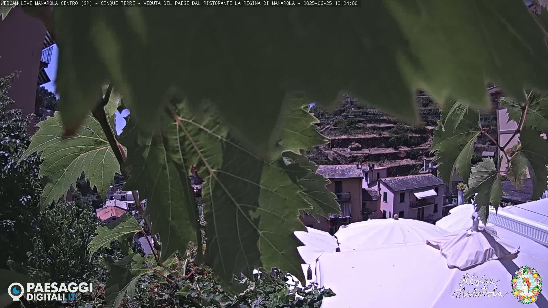 Cinque Terre, Manarola Village Main Square Live Cam - La Spezia, Linguria, Italy