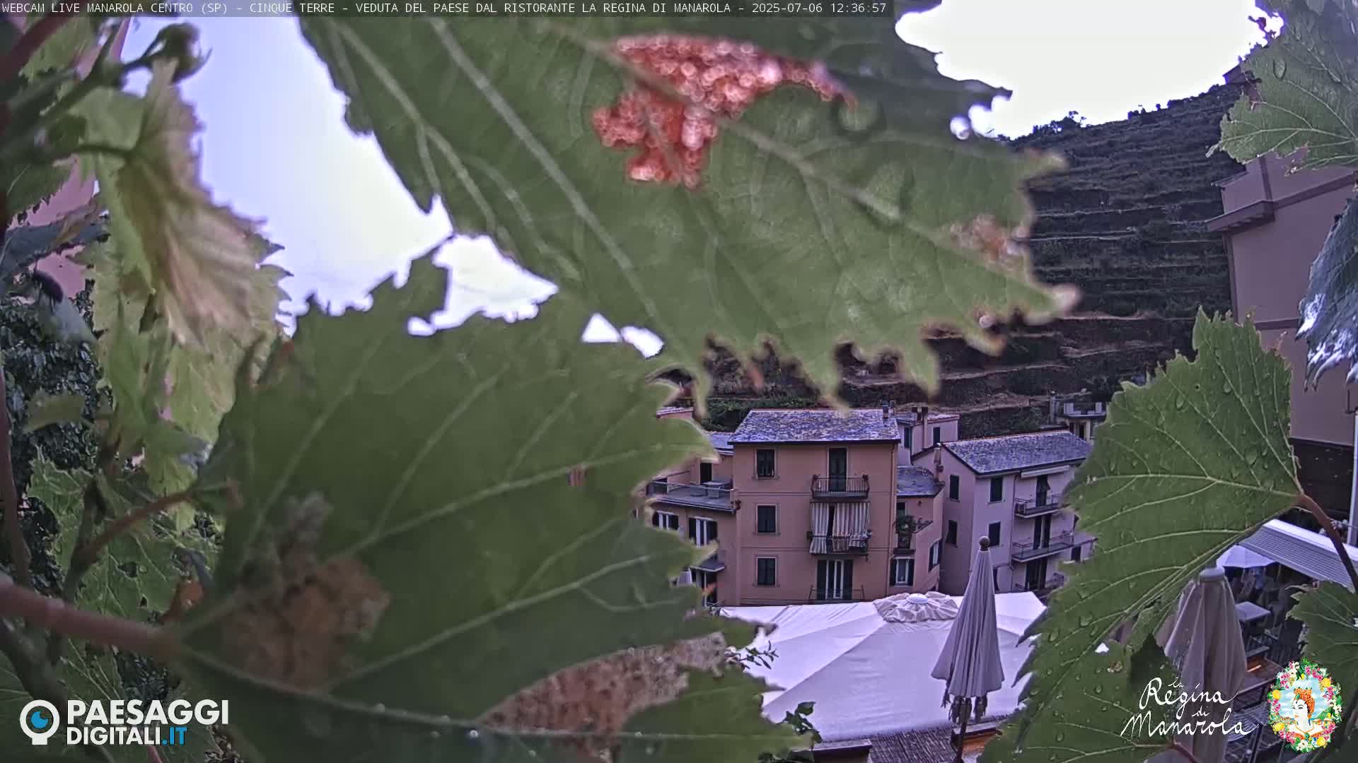 Cinque Terre, Manarola Village Main Square Live Cam - La Spezia, Linguria, Italy
