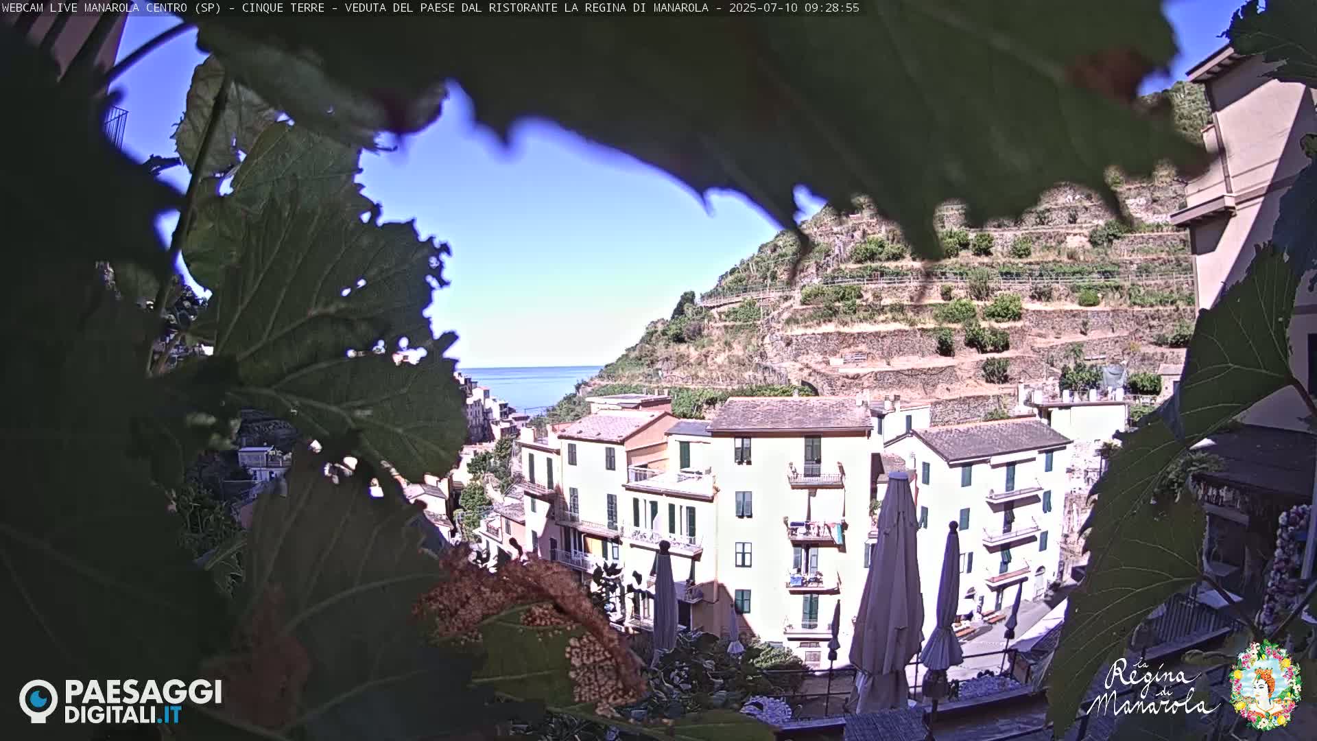 A sunny view of a coastal village nestled on a hillside, partially obscured by leaves, shows multi-story buildings and terraced vineyards.