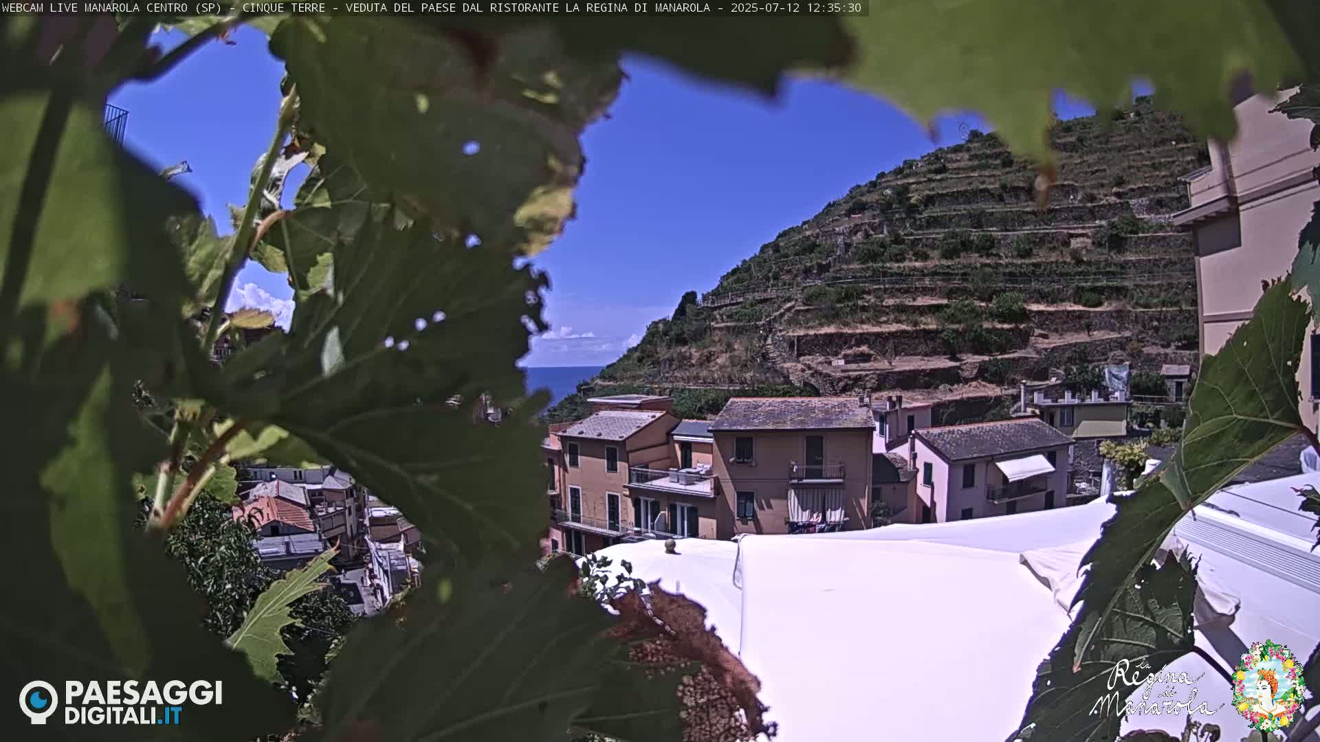 A sunny view of a coastal village nestled on a hillside, partially obscured by leaves, shows multi-story buildings and terraced vineyards.