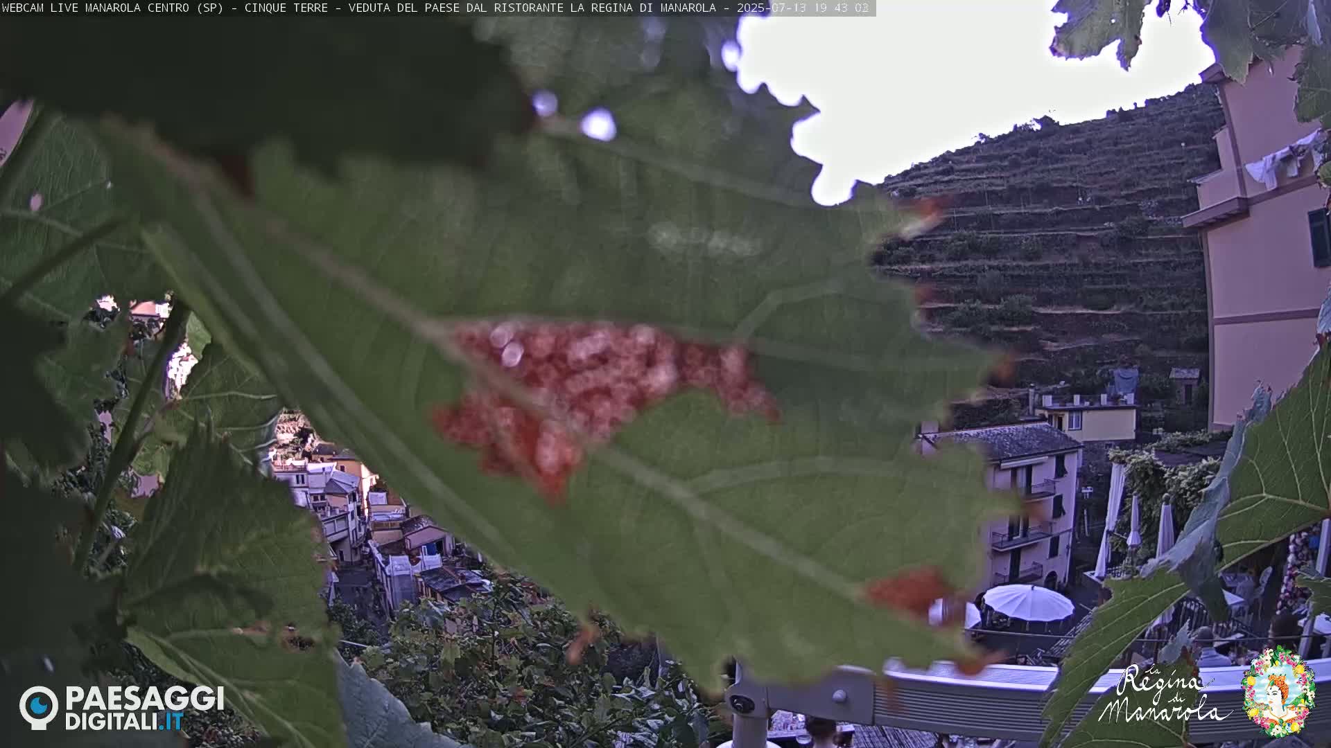 Cinque Terre, Manarola Village Main Square Live Cam - La Spezia, Linguria, Italy