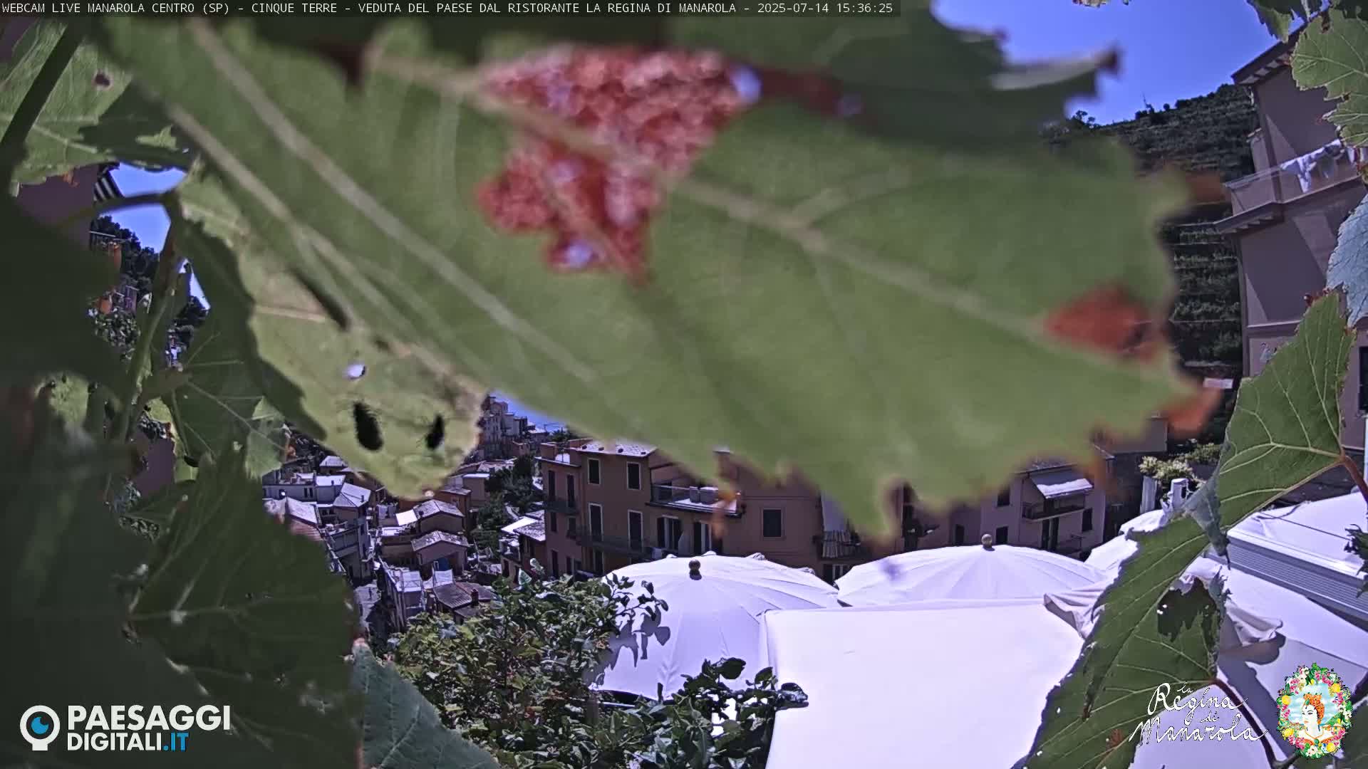 Cinque Terre, Manarola Village Main Square Live Cam - La Spezia, Linguria, Italy