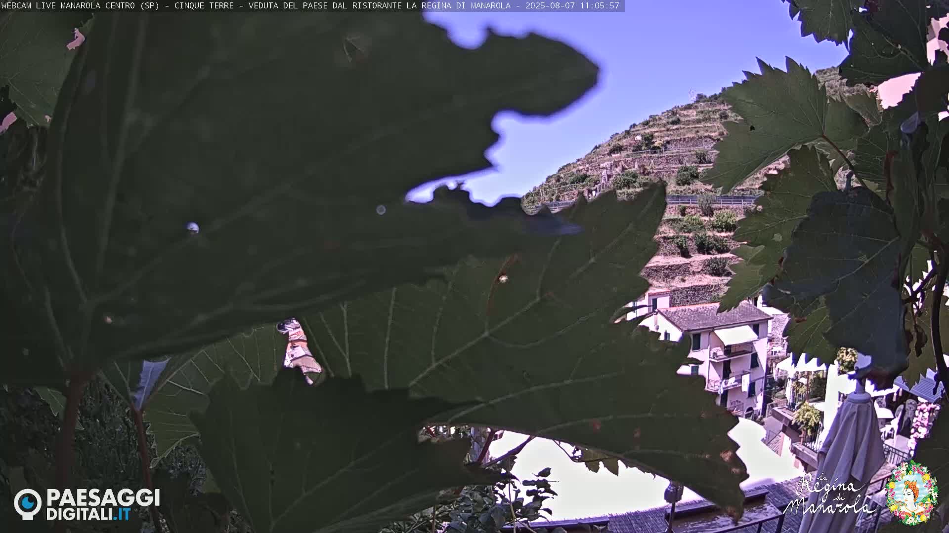 Cinque Terre, Manarola Village Main Square Live Cam - La Spezia, Linguria, Italy