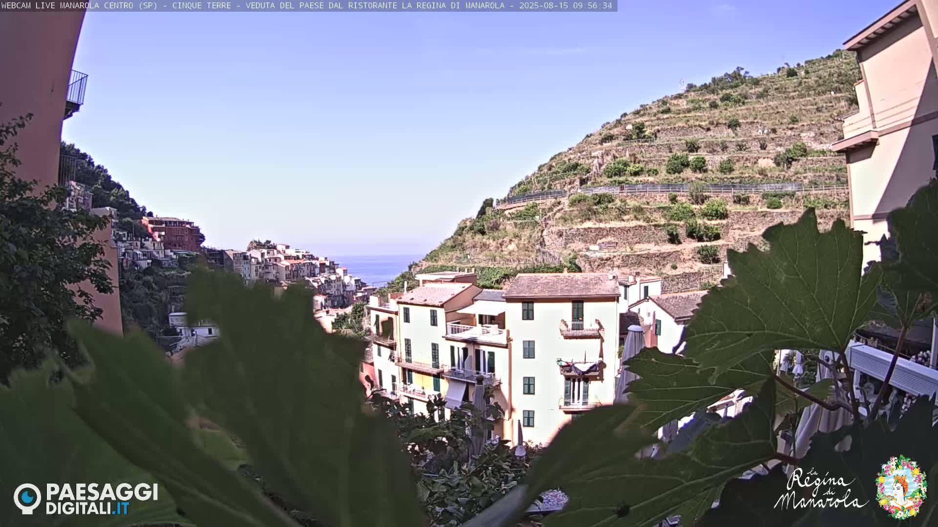A partly obscured view of a colorful Italian village nestled on a hillside overlooking the sea on a sunny day, with terraced vineyards rising above the buildings.