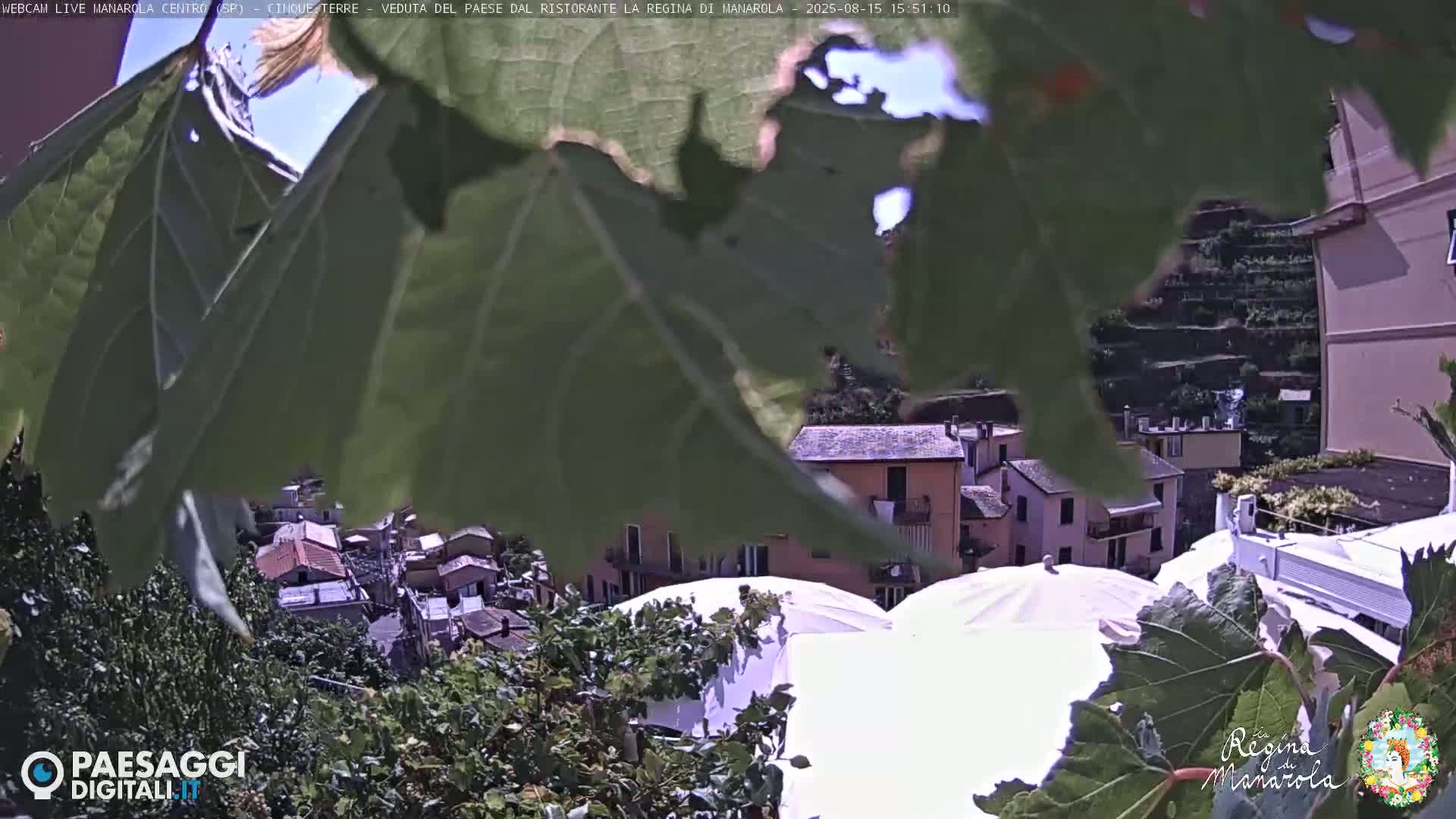 A partly obscured view of a colorful Italian village nestled on a hillside overlooking the sea on a sunny day, with terraced vineyards rising above the buildings.