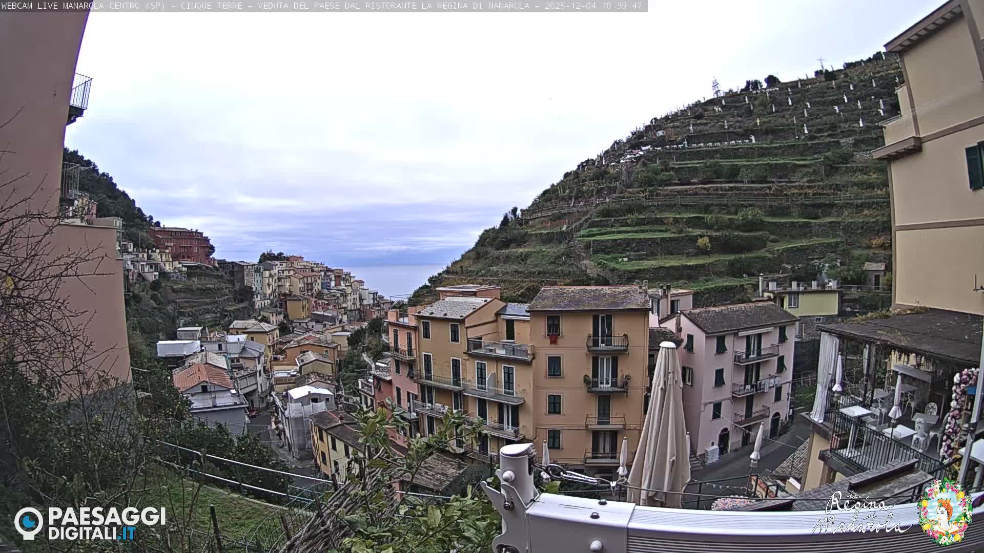 A picturesque coastal village with colorful buildings is nestled on a steep, terraced hillside overlooking a calm sea under an overcast sky.