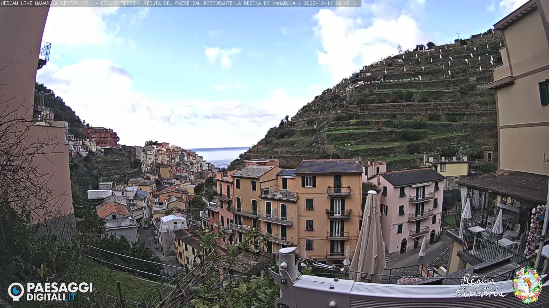 A picturesque coastal village with colorful buildings is nestled on a steep, terraced hillside overlooking a calm sea under an overcast sky.