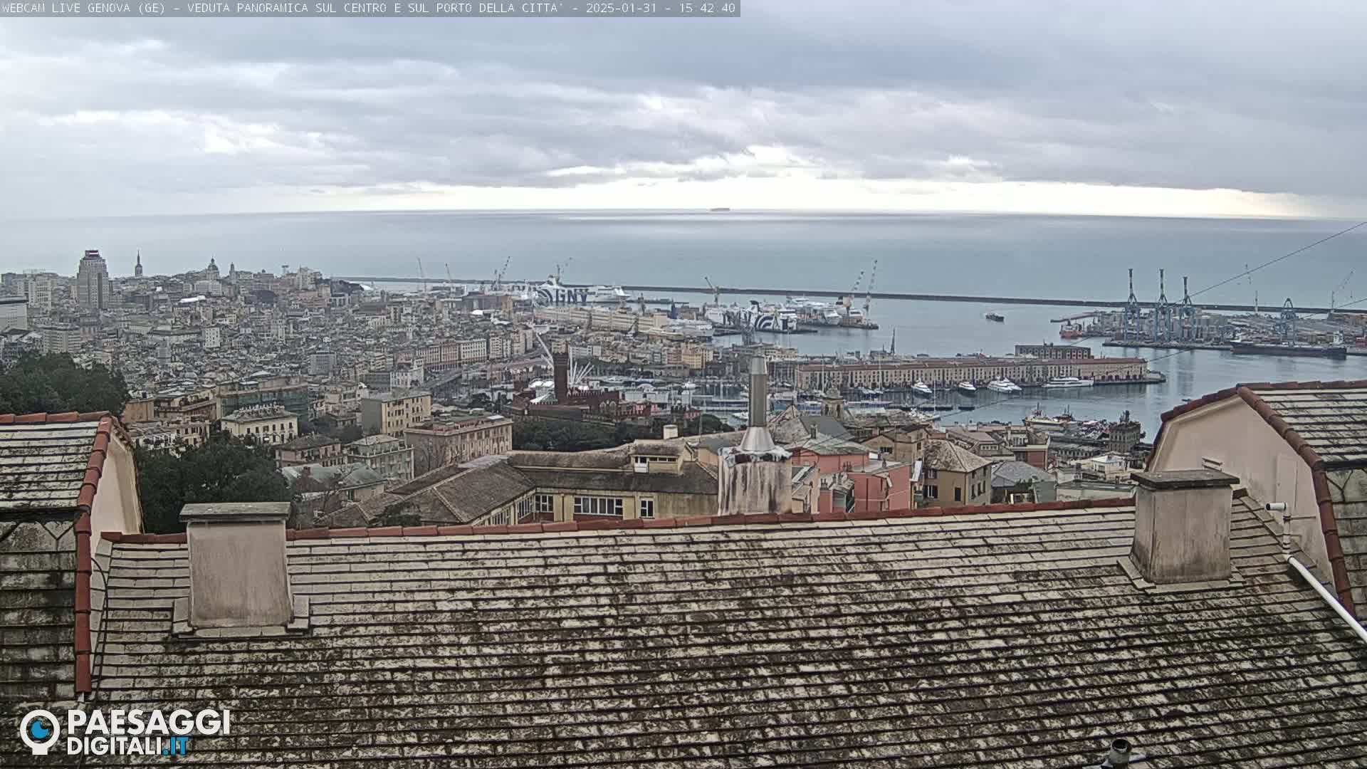 A coastal city with a large harbor, under an overcast sky, is viewed from a rooftop.