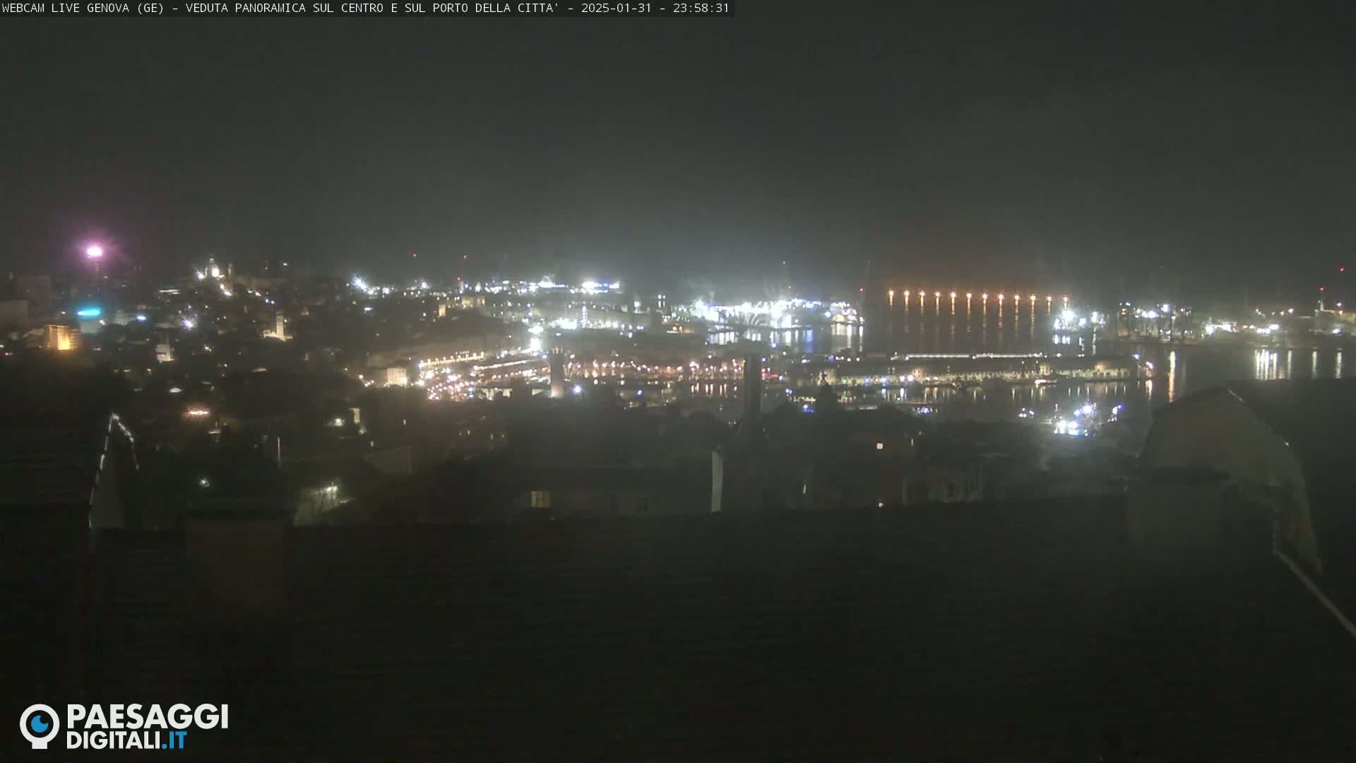 A nighttime, hazy view of a city's harbor and illuminated cityscape.