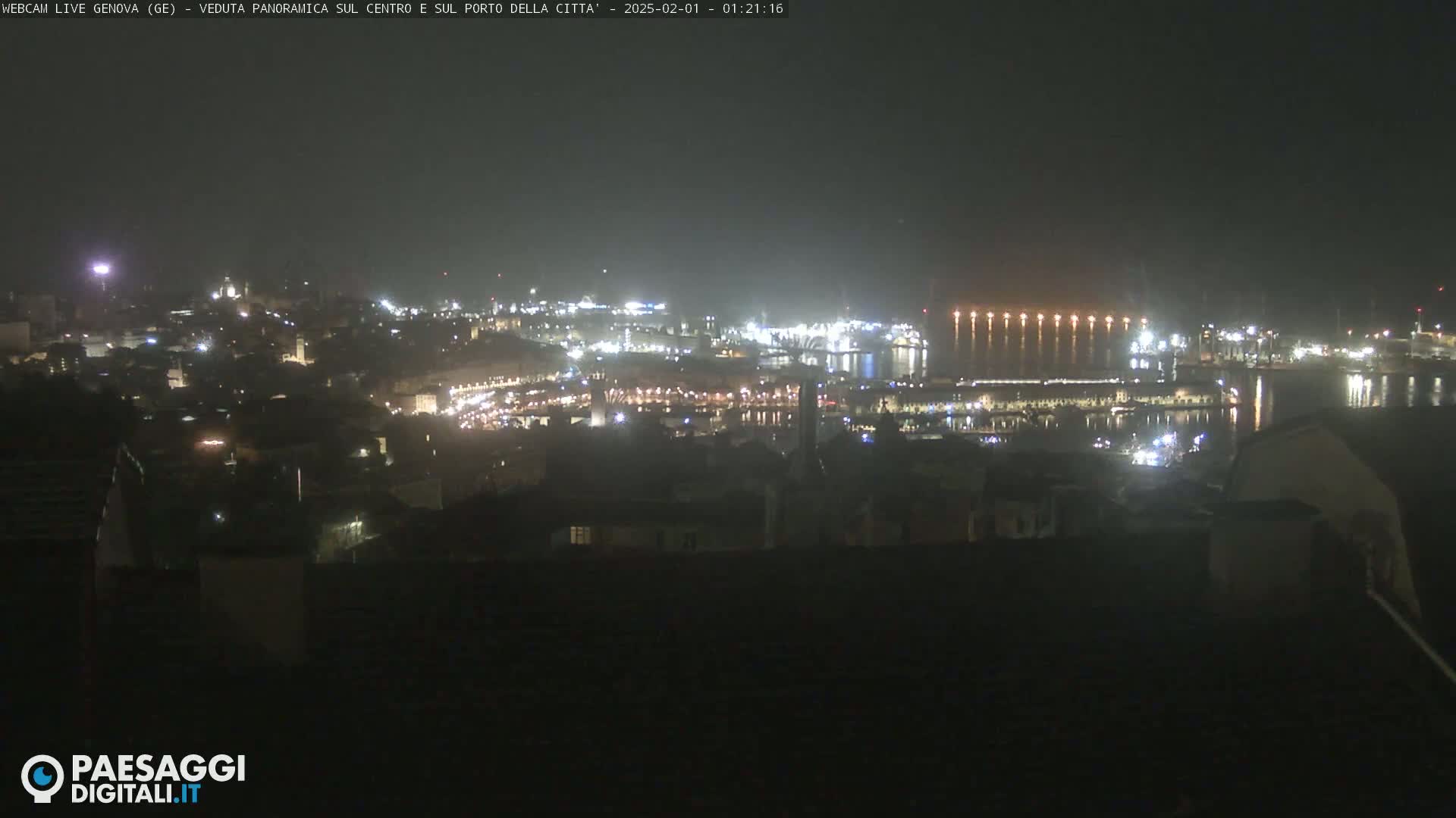 A nighttime, hazy view of a city and harbor with numerous lights illuminating buildings and docks.