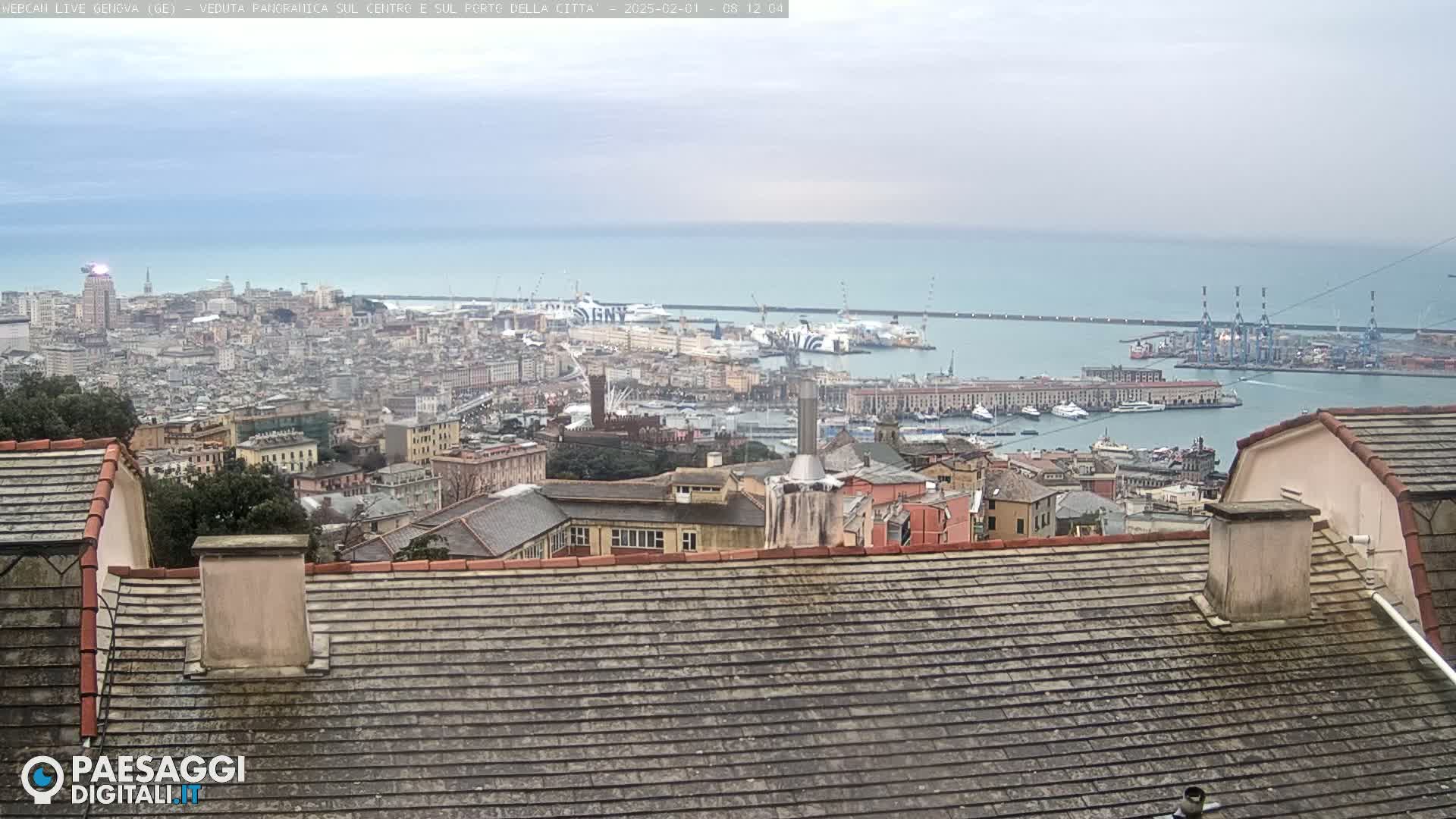 A panoramic view of a city harbor and coastline on an overcast day, seen from a rooftop.