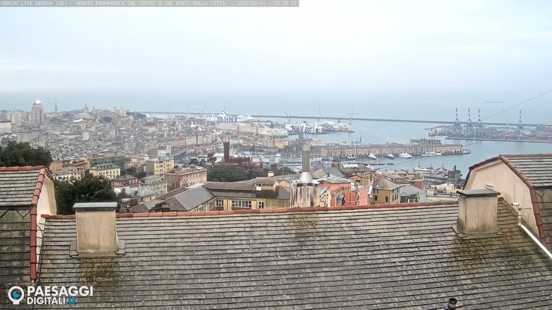 A hazy, overcast view of a city and harbor from a rooftop, showing many buildings and ships.