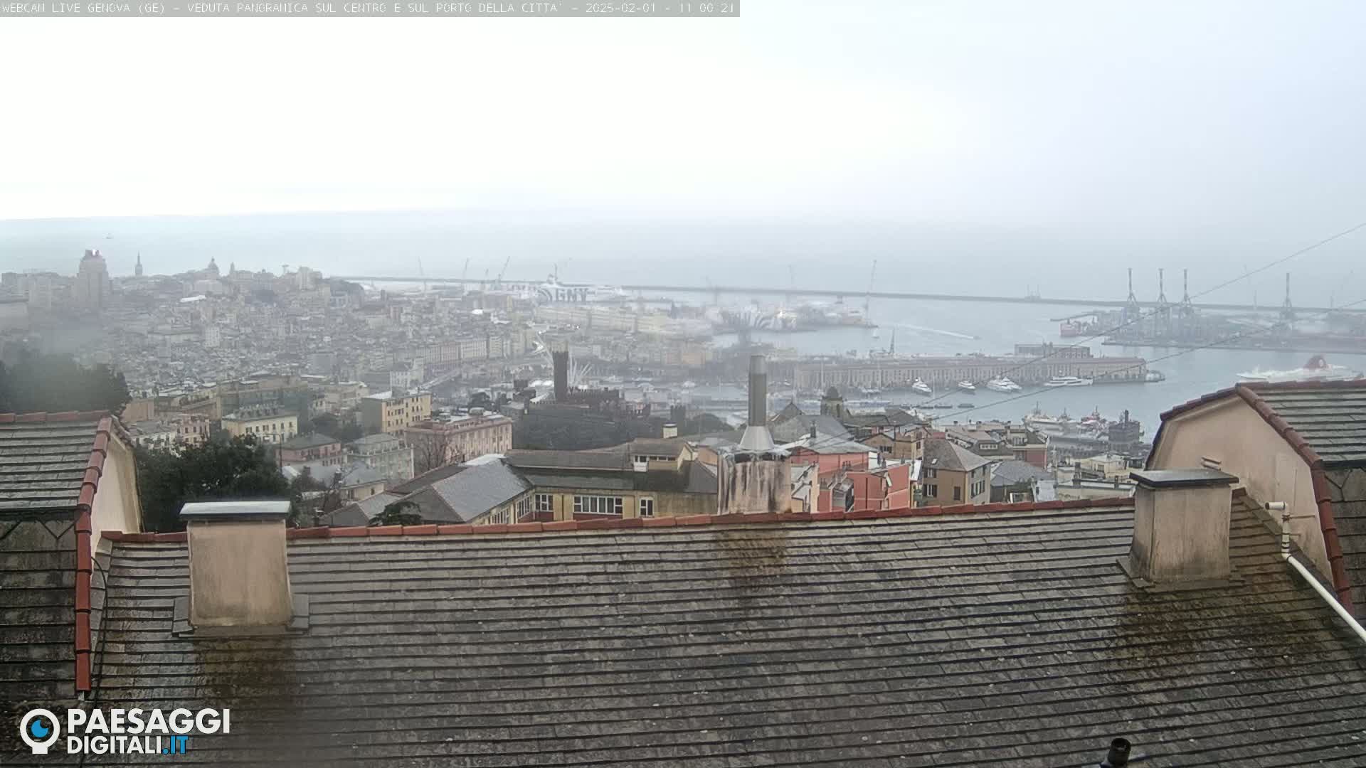 A hazy, overcast view of a city and harbor from a rooftop, with many buildings visible in the distance.