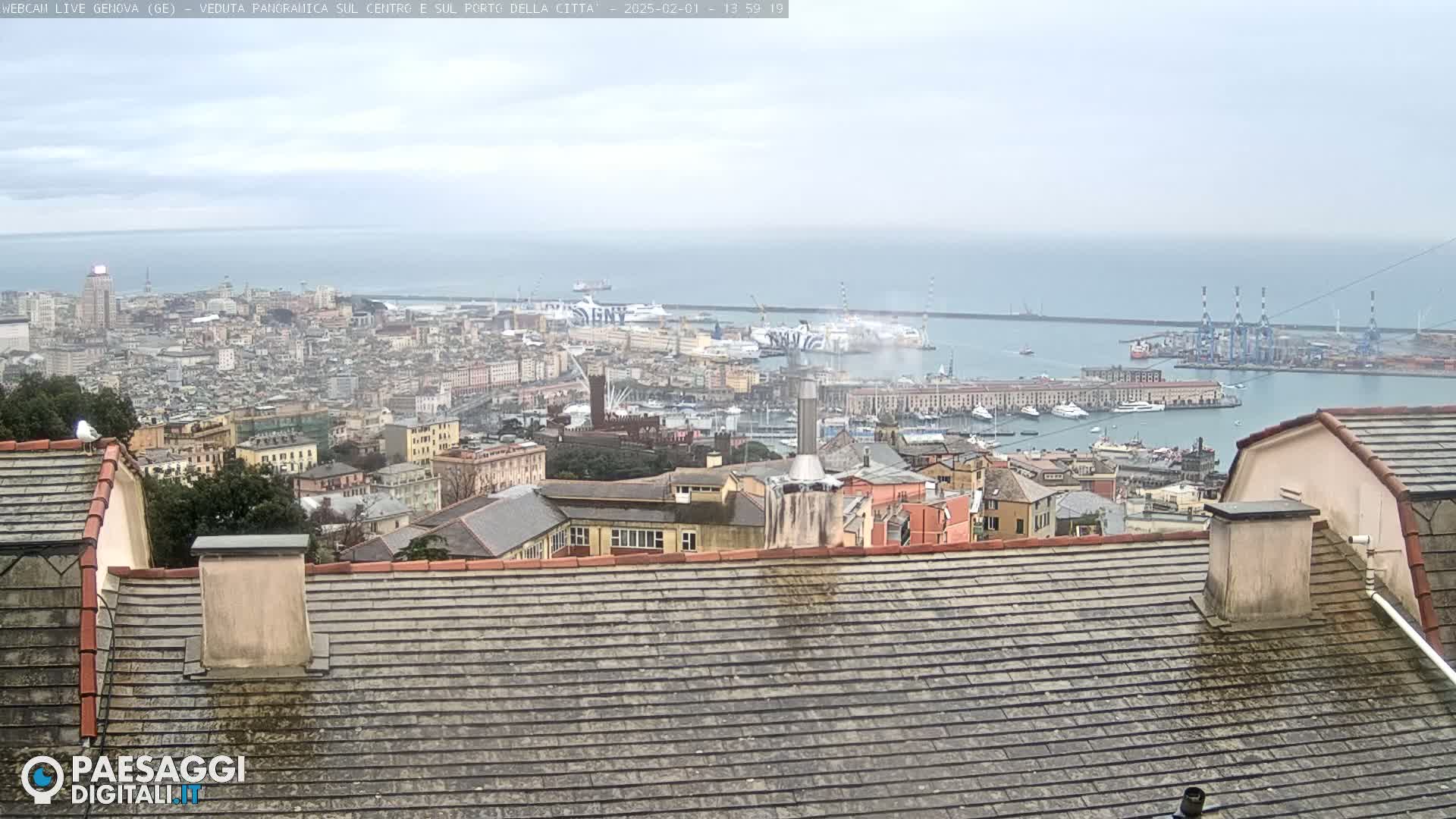 A panoramic view of a city and harbor on an overcast day, seen from a rooftop.