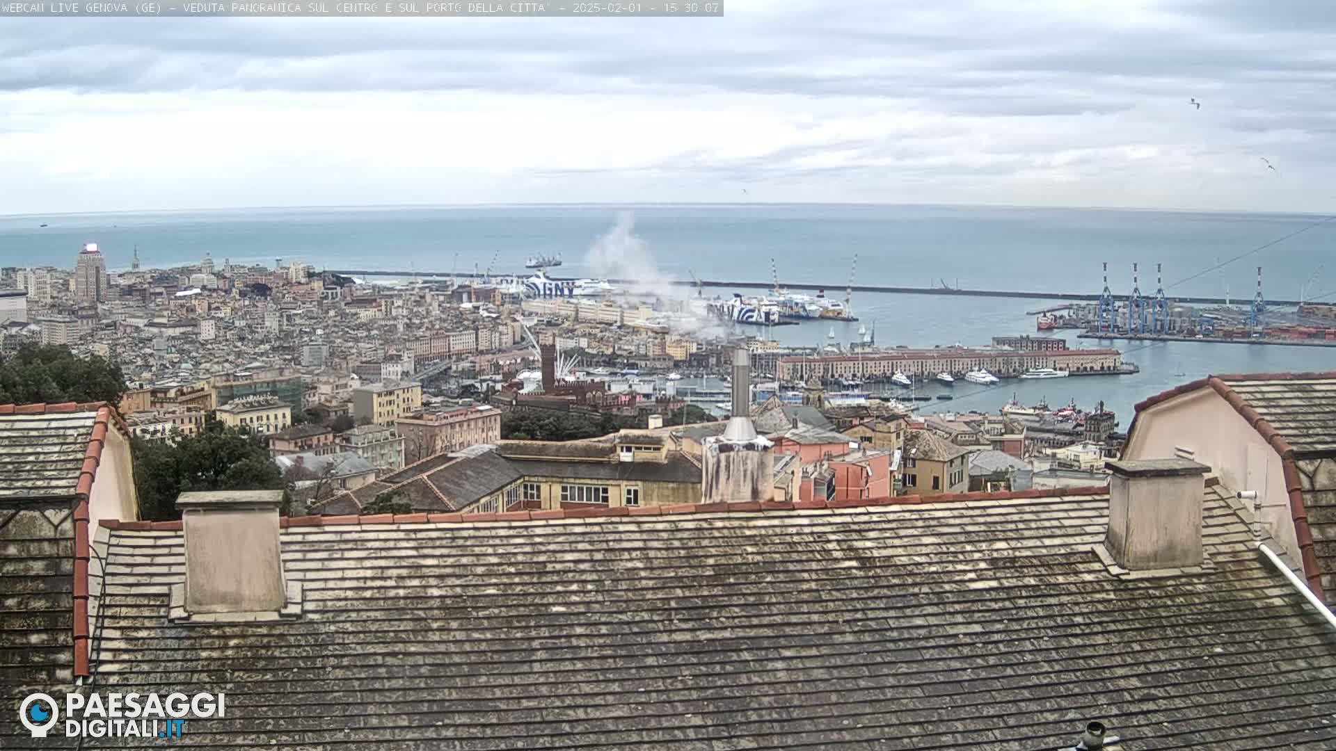 A sprawling cityscape and harbor are visible under an overcast sky, viewed from a high vantage point overlooking a tiled roof.