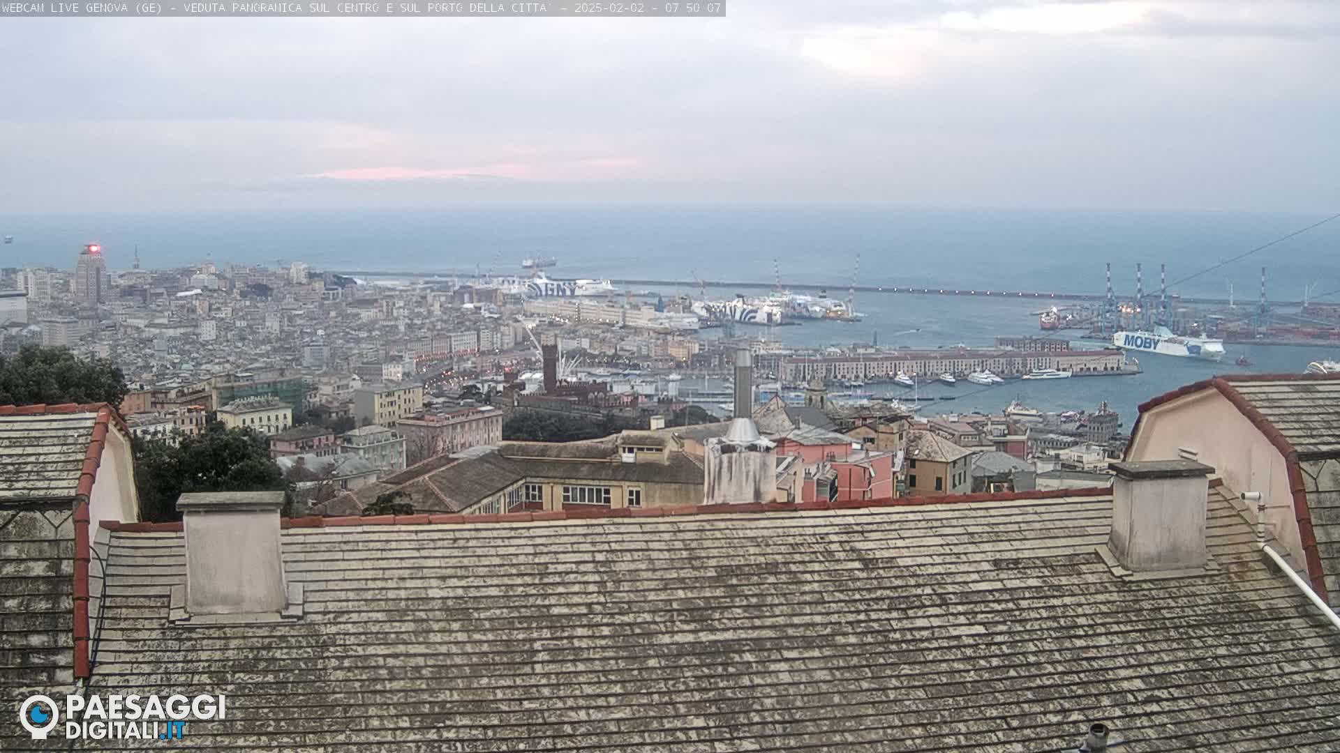 A panoramic view of a city and harbor on an overcast day, seen from a rooftop.