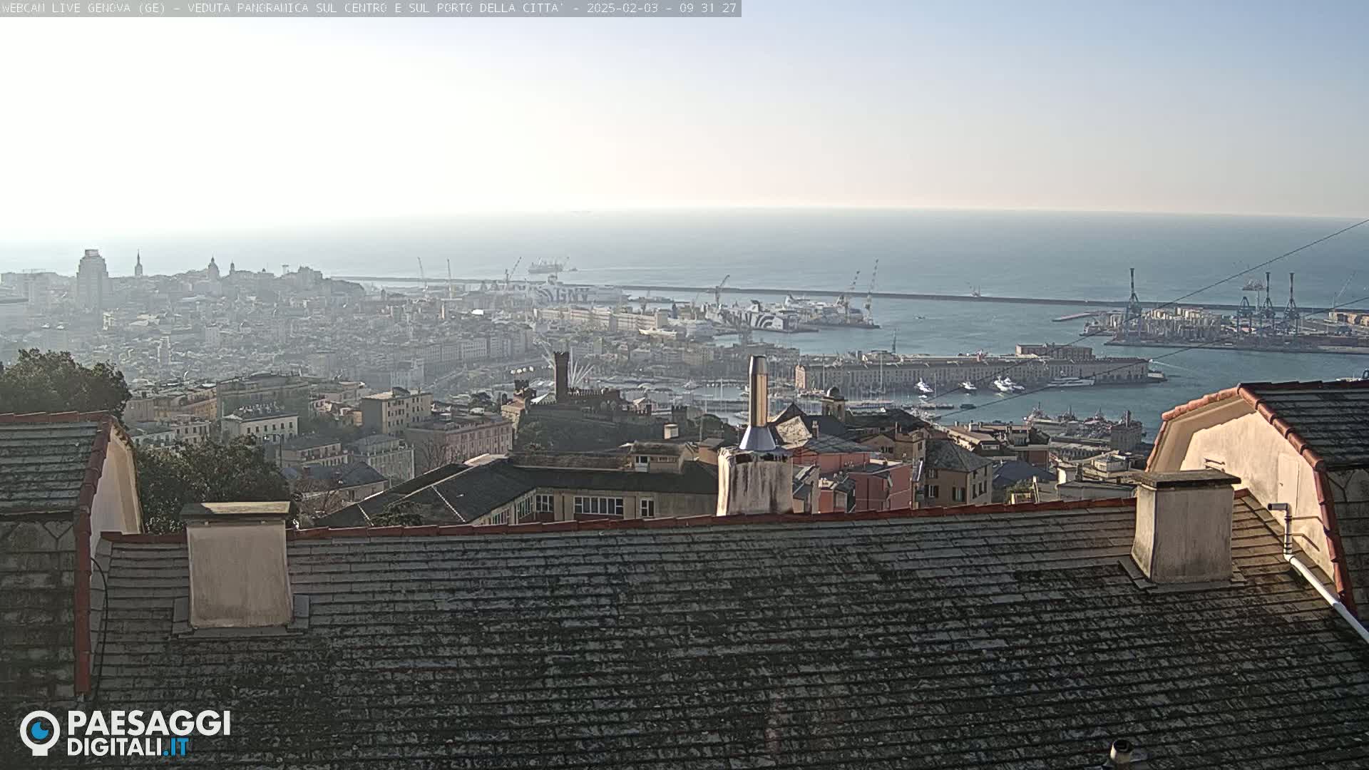 A panoramic view of a city and harbor on a clear, hazy day, seen from a rooftop.