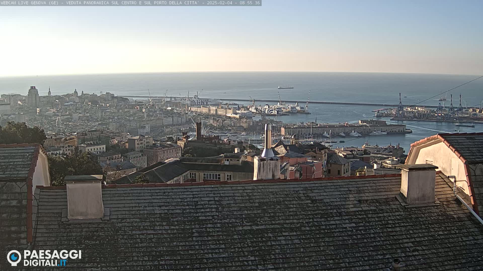 A panoramic view of a city harbor and cityscape on a clear, sunny day, seen from a rooftop.