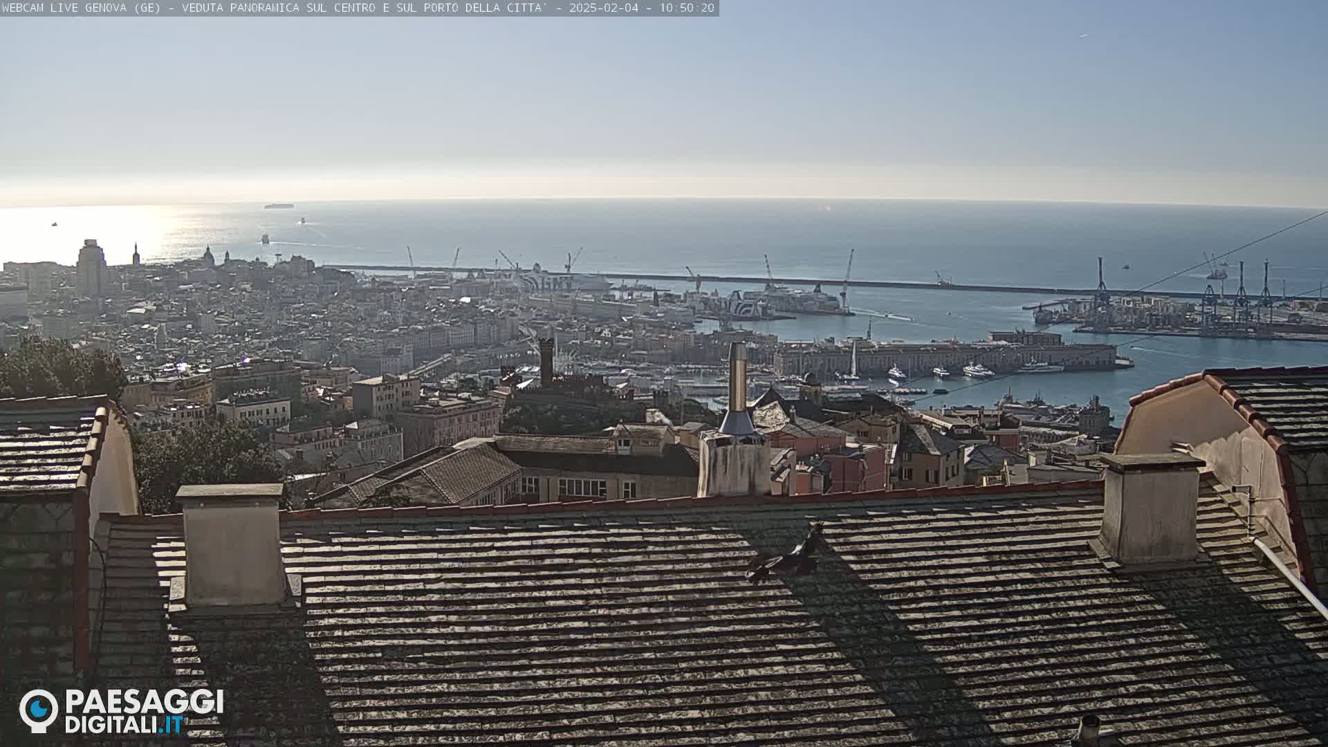 A panoramic view of a city harbor and coastline on a sunny day, seen from atop a building with a tiled roof.