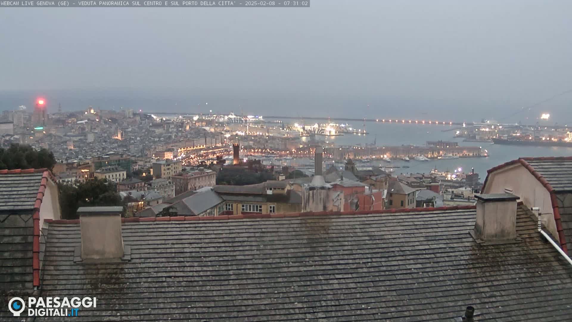 A hazy, dusk view of a city and harbor, seen from a rooftop with dark gray slate tiles.