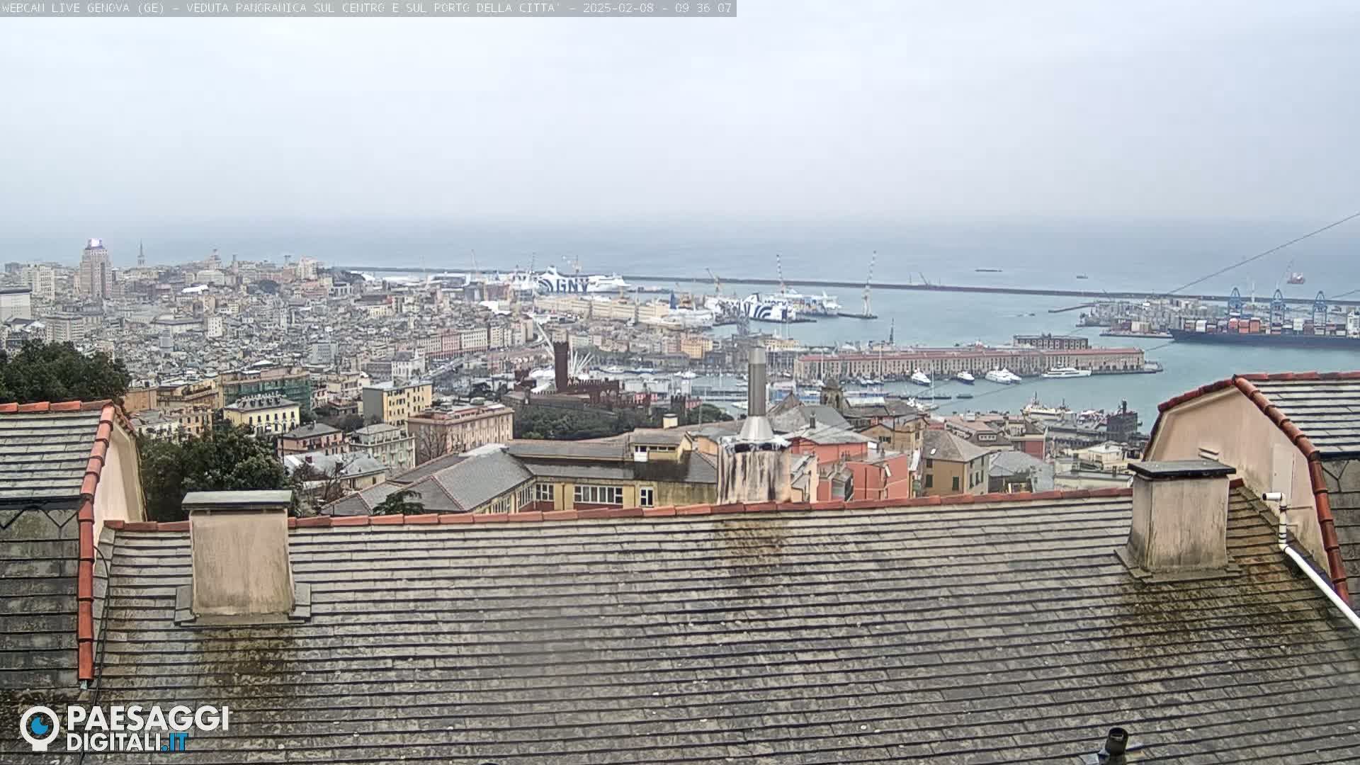 A panoramic view of a city harbor on an overcast day, seen from atop a building with a tiled roof.