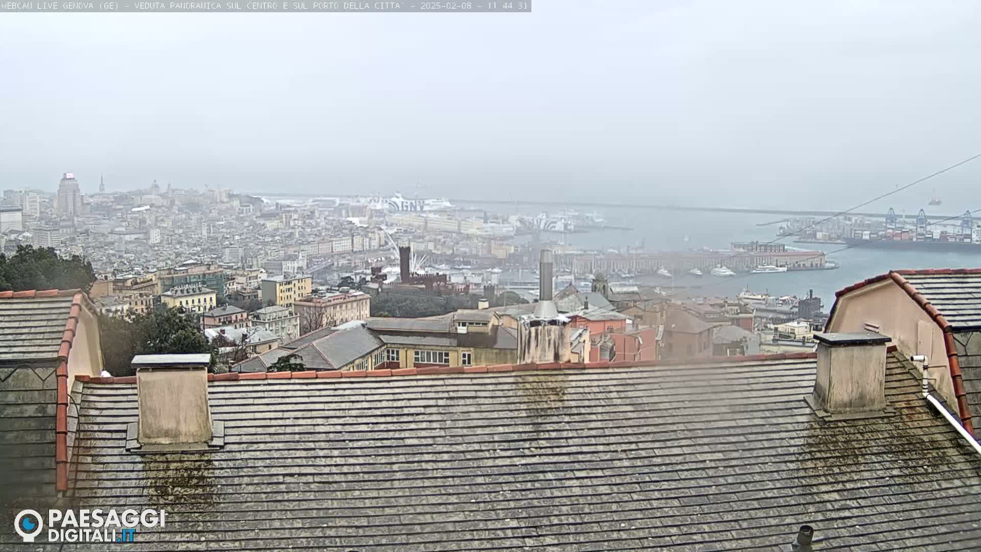 A hazy view of a city and harbor, seen from a rooftop, under overcast skies.