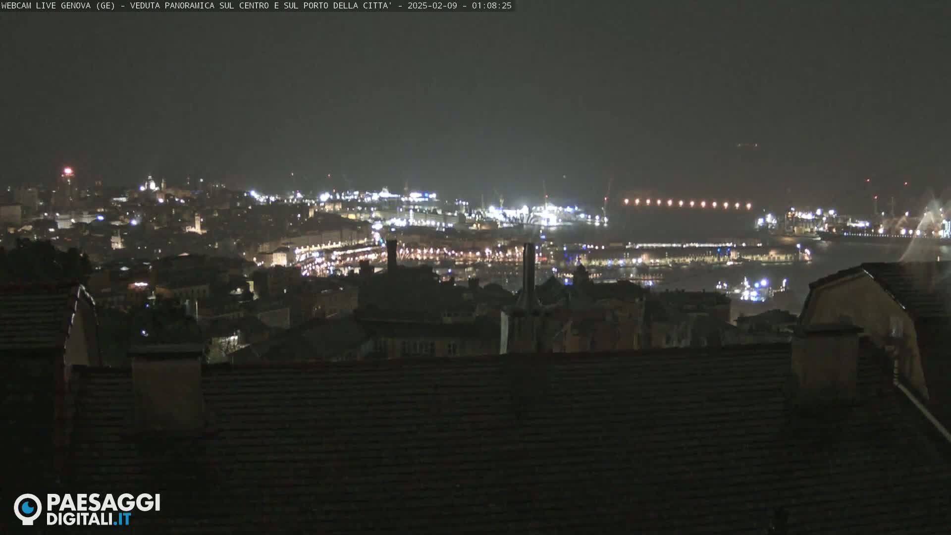A nighttime panoramic view of a city and harbor, illuminated by many lights, under a dark, possibly hazy sky.
